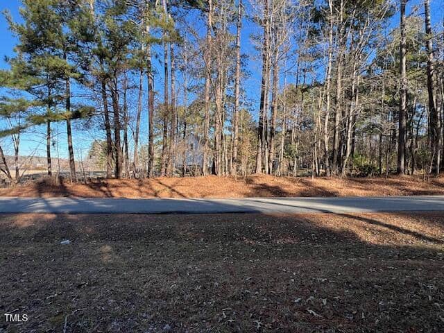A paved road runs through a wooded area with tall pine trees on both sides. The ground is covered with brown pine needles and fallen leaves. Shadows from the trees stretch across the road under a clear blue sky.