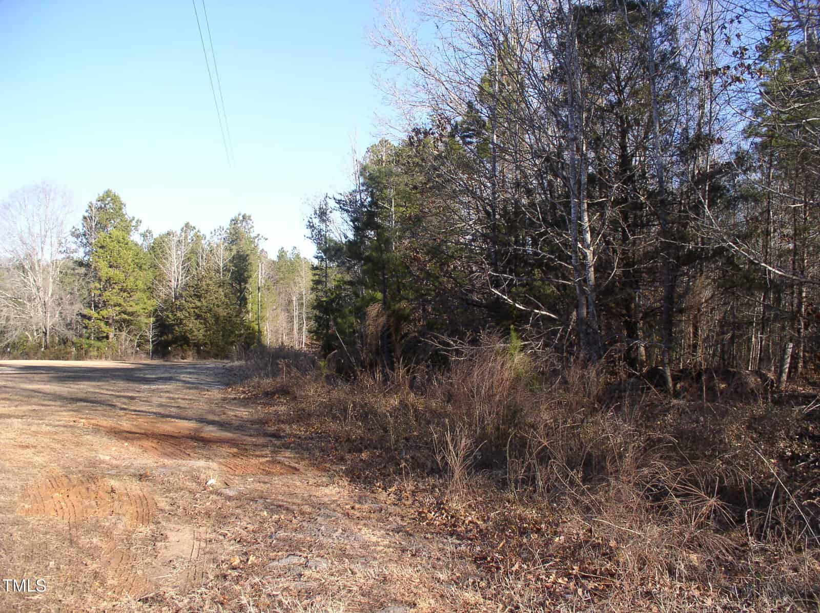 The dirt road of 0 Red Clay Lane curves through a forested area with tall, leafless trees and dry underbrush. Power lines run parallel to the road under Henderson's clear blue sky.