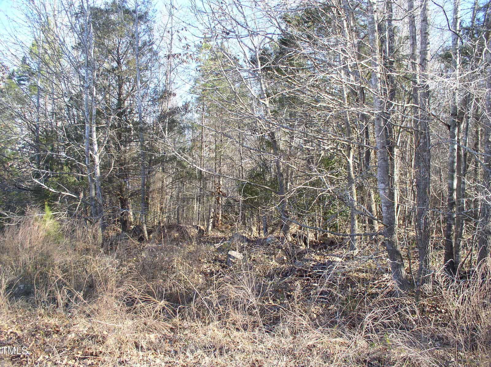 A wooded area with bare trees and underbrush. The ground is covered with dry grass and leaves, and the trees have no leaves, indicating a winter or early spring setting. The sky is clear and blue.