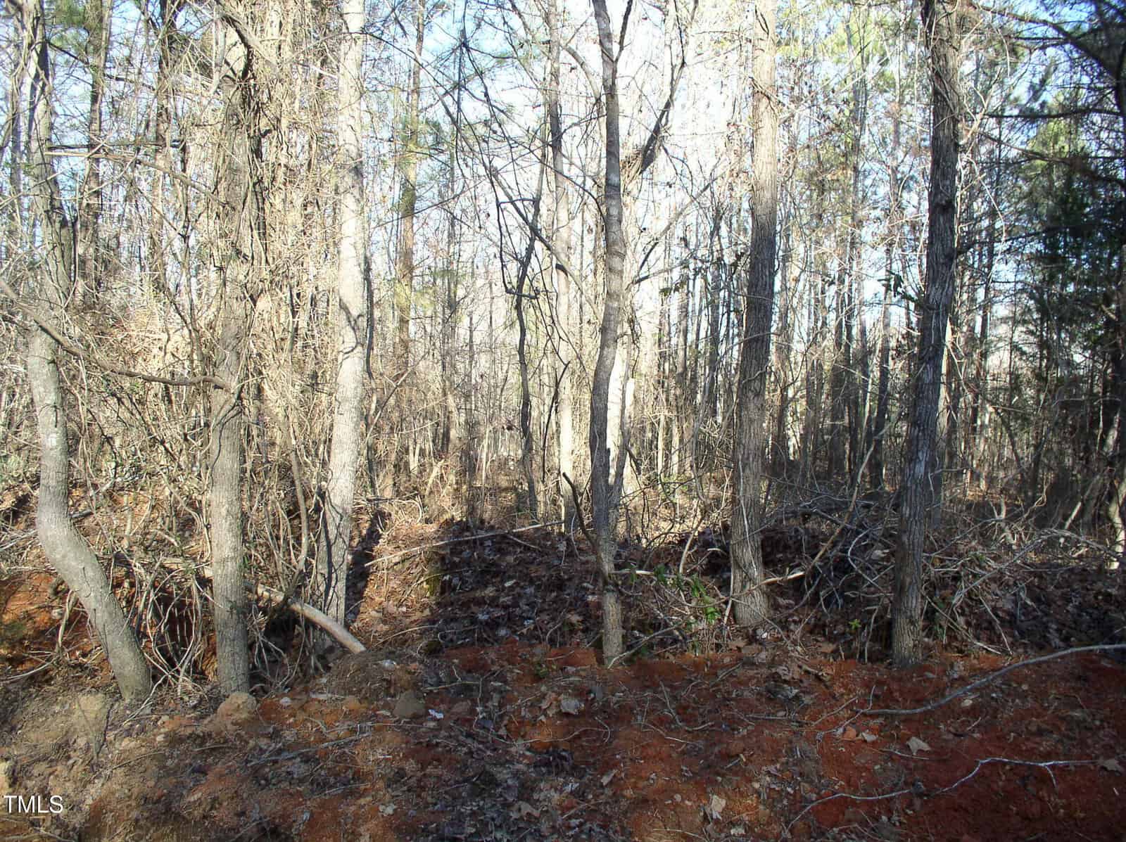 A wooded area with leafless trees and scattered underbrush. The ground is covered with dry leaves and patches of reddish soil. Sunlight filters through the trees, creating a pattern of light and shadow on the forest floor.