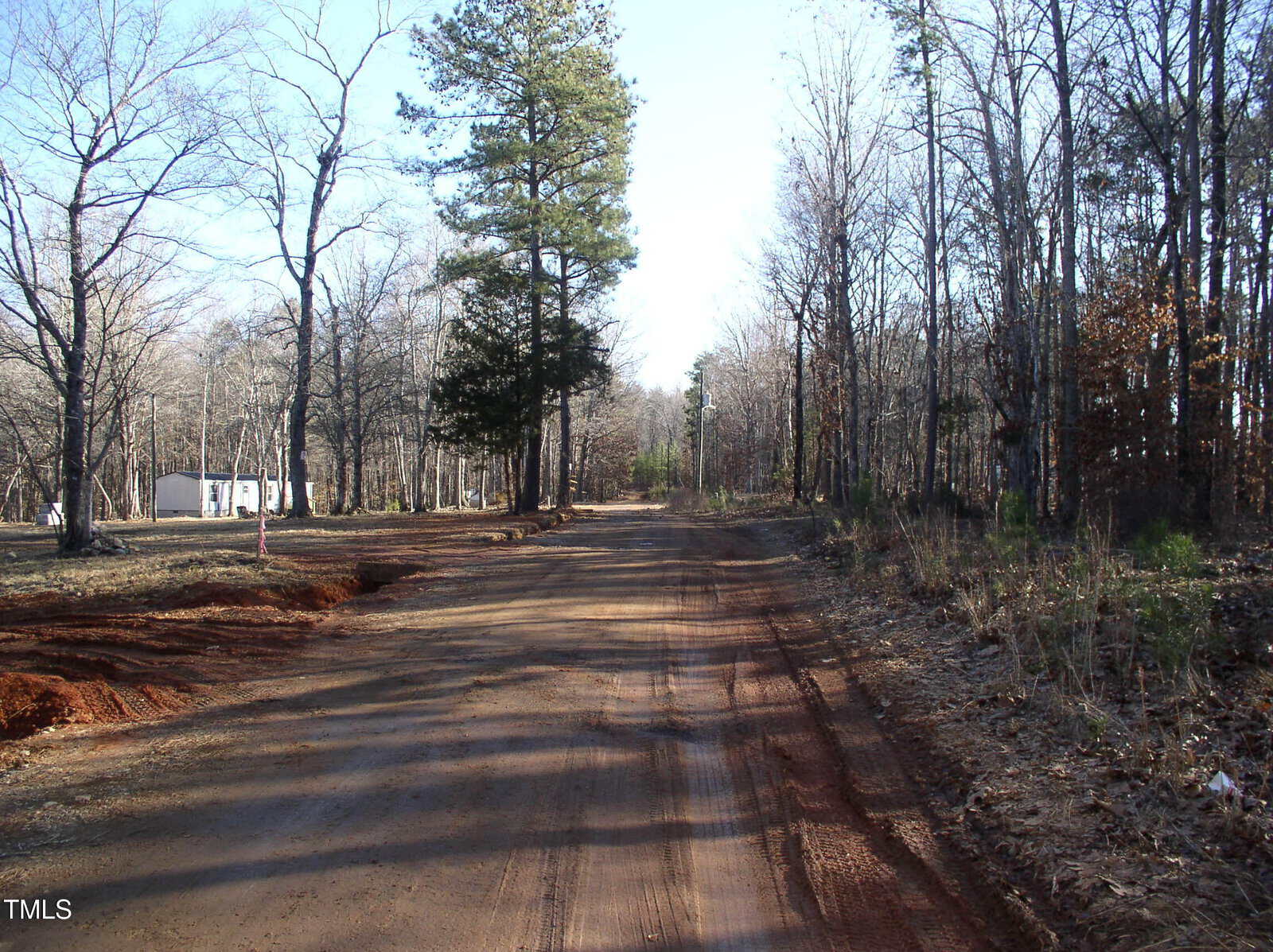 A dirt road stretches through a forested area with tall, leafless trees on both sides. A small white building is visible in the distance to the left. The sky is clear and blue, indicating a sunny day.