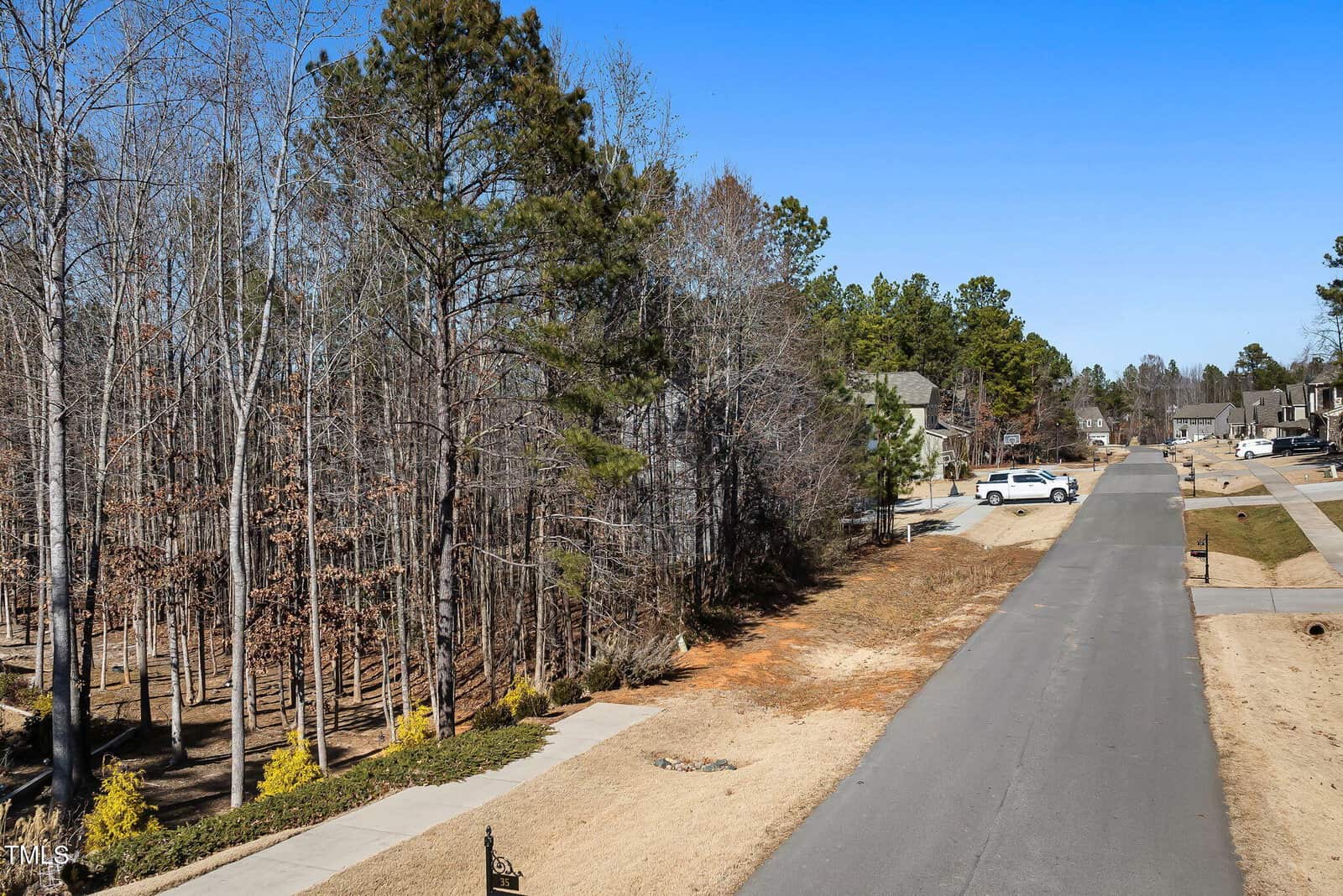 A paved residential street runs alongside a wooded area with leafless trees. Houses and parked cars are visible on the right side of the road. The grass on both sides appears dry and brown under a clear blue sky.