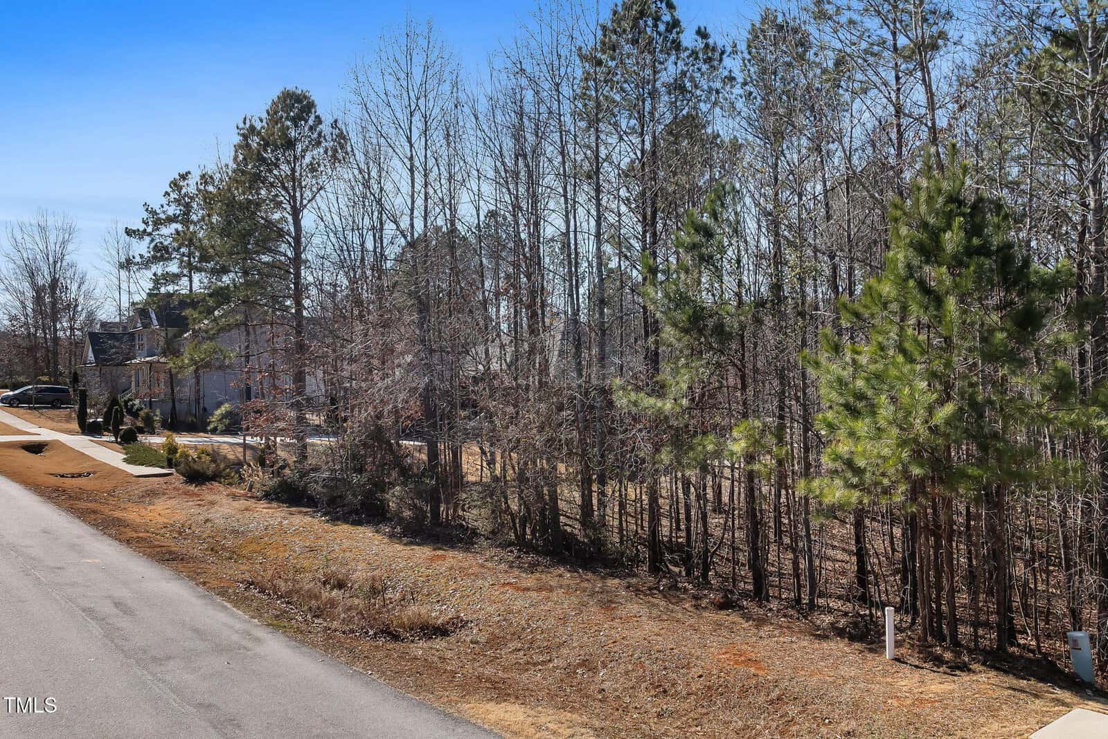 A residential street runs alongside a wooded area with tall pine trees. Houses are partially visible on the left, and there are mailboxes and a driveway near the edge of the trees. The sky is clear and blue.