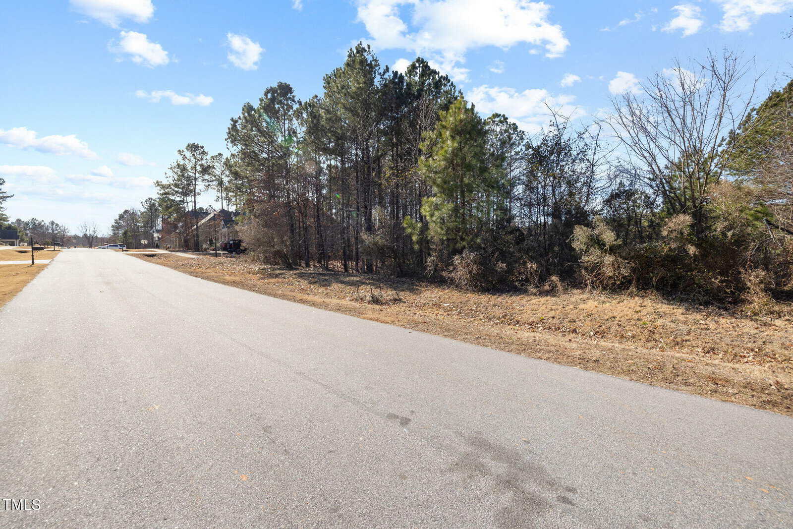 A paved residential street runs alongside a wooded area with pine trees and dry grass under a partly cloudy sky; houses are visible in the distance on the left side of the image.