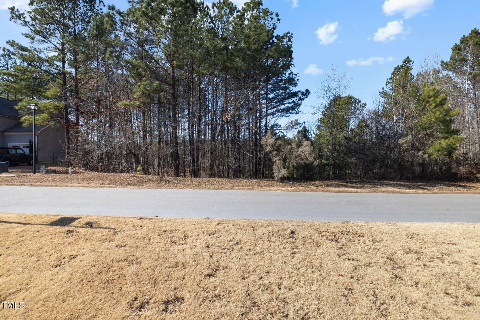 A paved road runs through a residential area with dry grass in the foreground and a dense cluster of tall pine trees in the background under a partly cloudy sky.