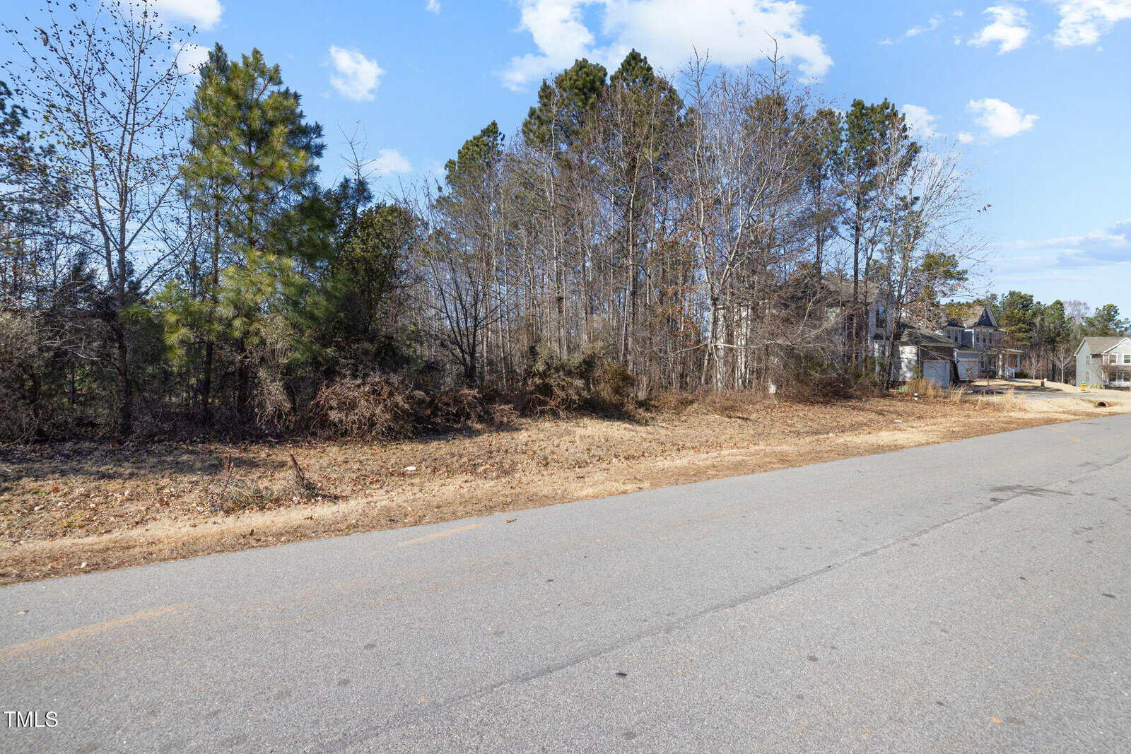 A paved road runs alongside a vacant, undeveloped lot with sparse grass and brush. Dense trees and some residential houses are visible in the background under a partly cloudy sky.