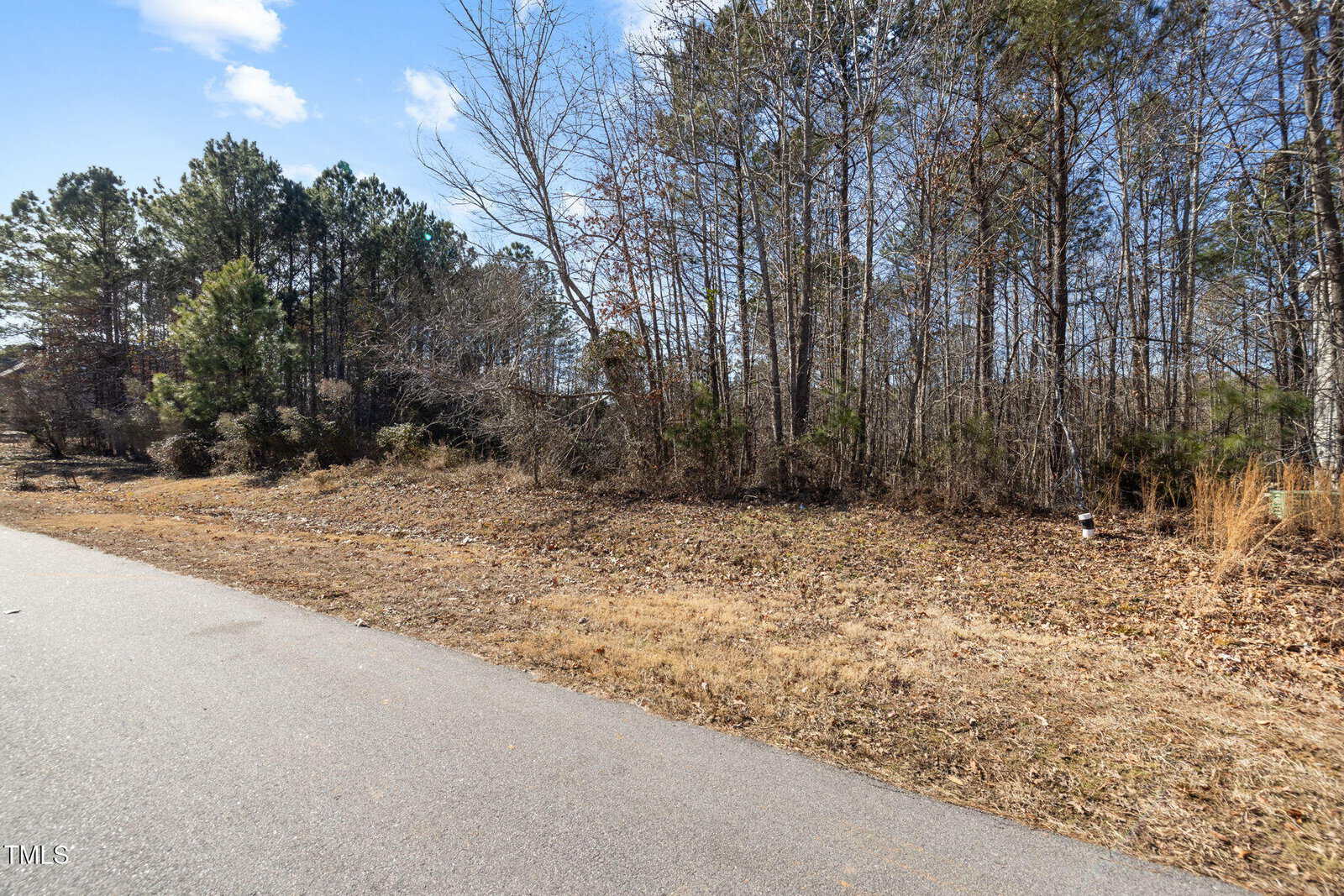 A paved road runs alongside a wooded area with leafless and evergreen trees under a blue sky with scattered clouds. The ground is covered with dry grass and leaves.
