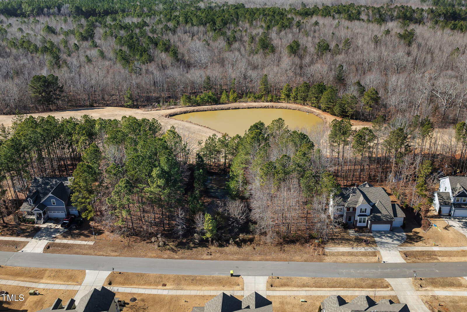 A residential street with houses on either side borders a wooded area that leads to a small pond surrounded by trees. The background features dense forest with no visible leaves on many of the trees.