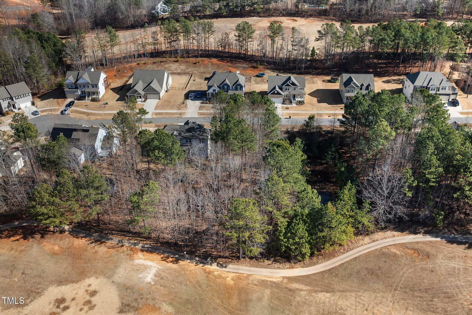 Aerial view of a suburban neighborhood with single-family homes, a row of trees separating the houses from a dirt path, and wooded areas nearby. The scene appears to be taken during late fall or winter.