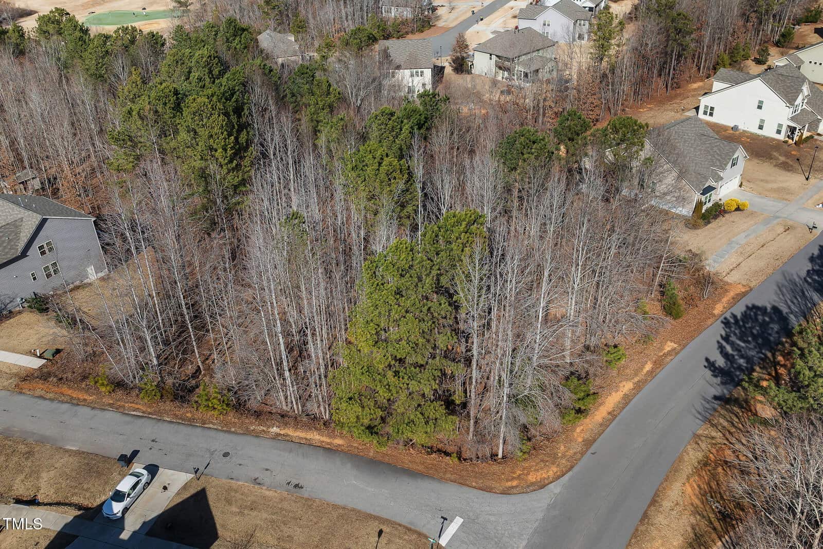 Aerial view of a residential neighborhood showing a corner lot with dense trees and bare branches, bordered by paved roads and surrounded by houses with yards.