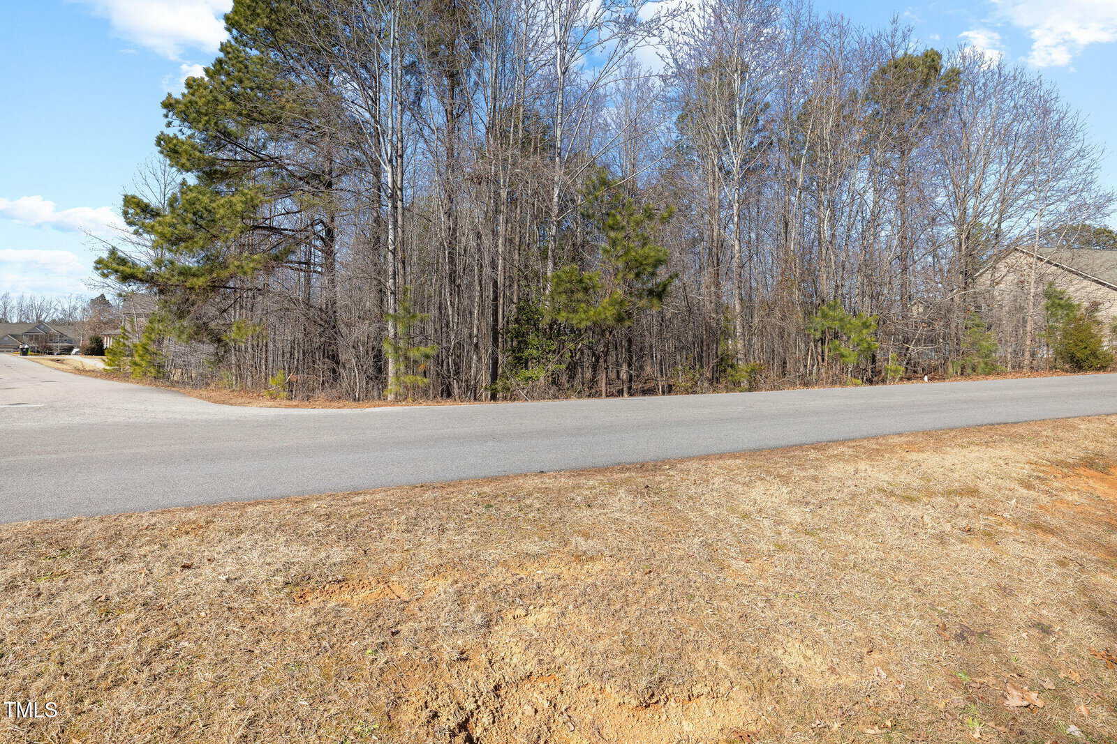 A paved road runs past a wooded area with leafless trees and some evergreens. The foreground shows dry, patchy grass and bare soil. Houses are partially visible on the left and right edges of the image.