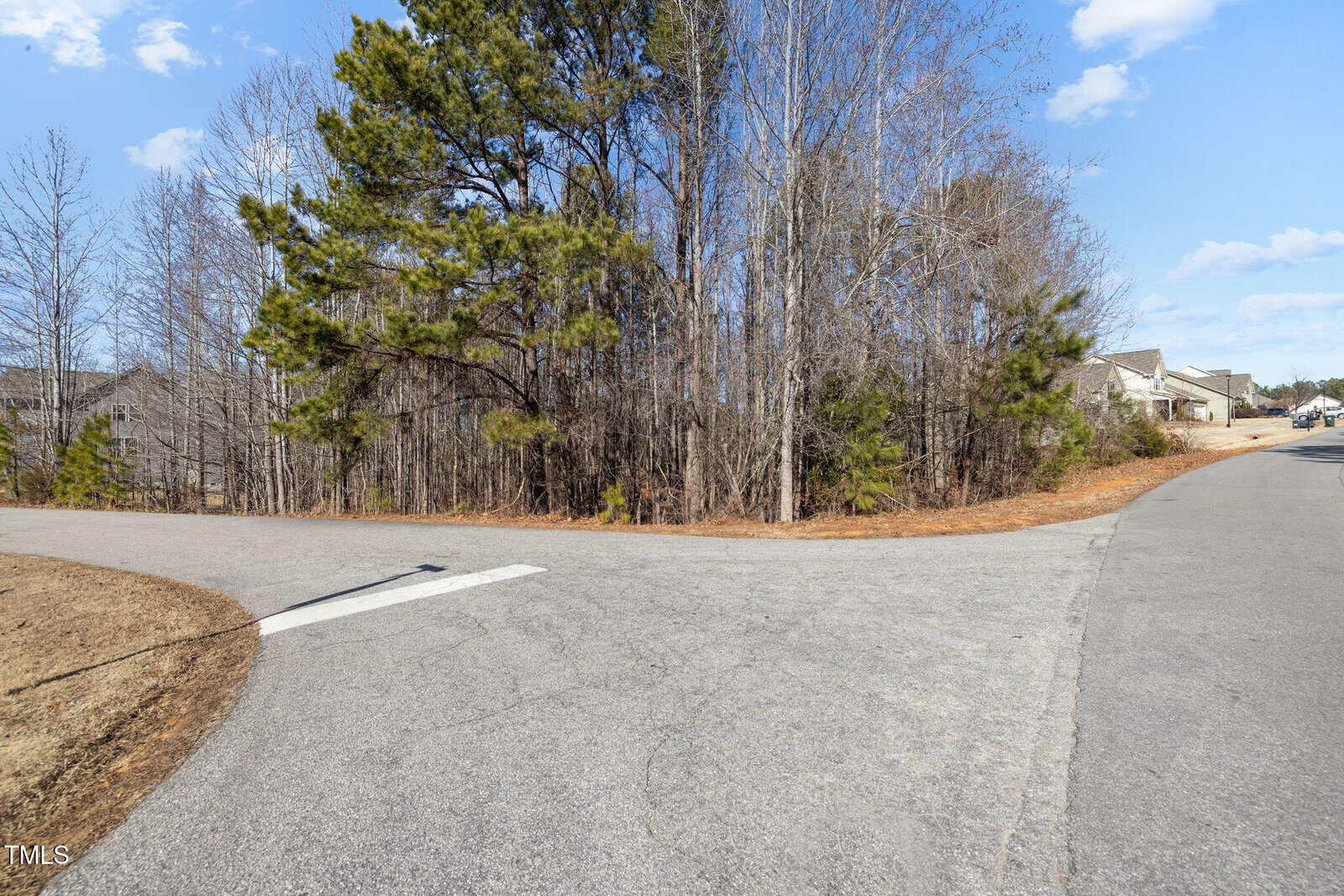 A paved residential street curves beside a wooded area with leafless trees and some evergreens. Houses are visible in the background on the right under a blue sky with a few clouds.