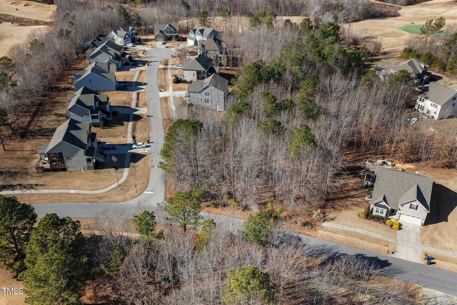 Aerial view of a suburban neighborhood with houses along curved roads, bordered by trees and wooded areas. Some lawns are brown, suggesting winter or dormant grass. No people or vehicles are prominently visible.