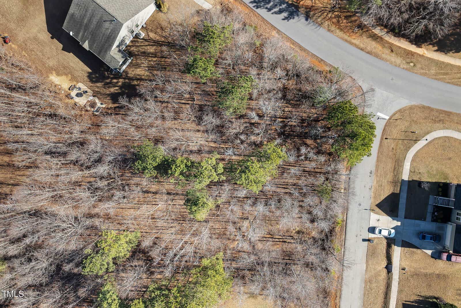 Aerial view of a residential neighborhood showing leafless trees, a curved street, a house with a driveway, two parked cars, and a lawn in winter or early spring.