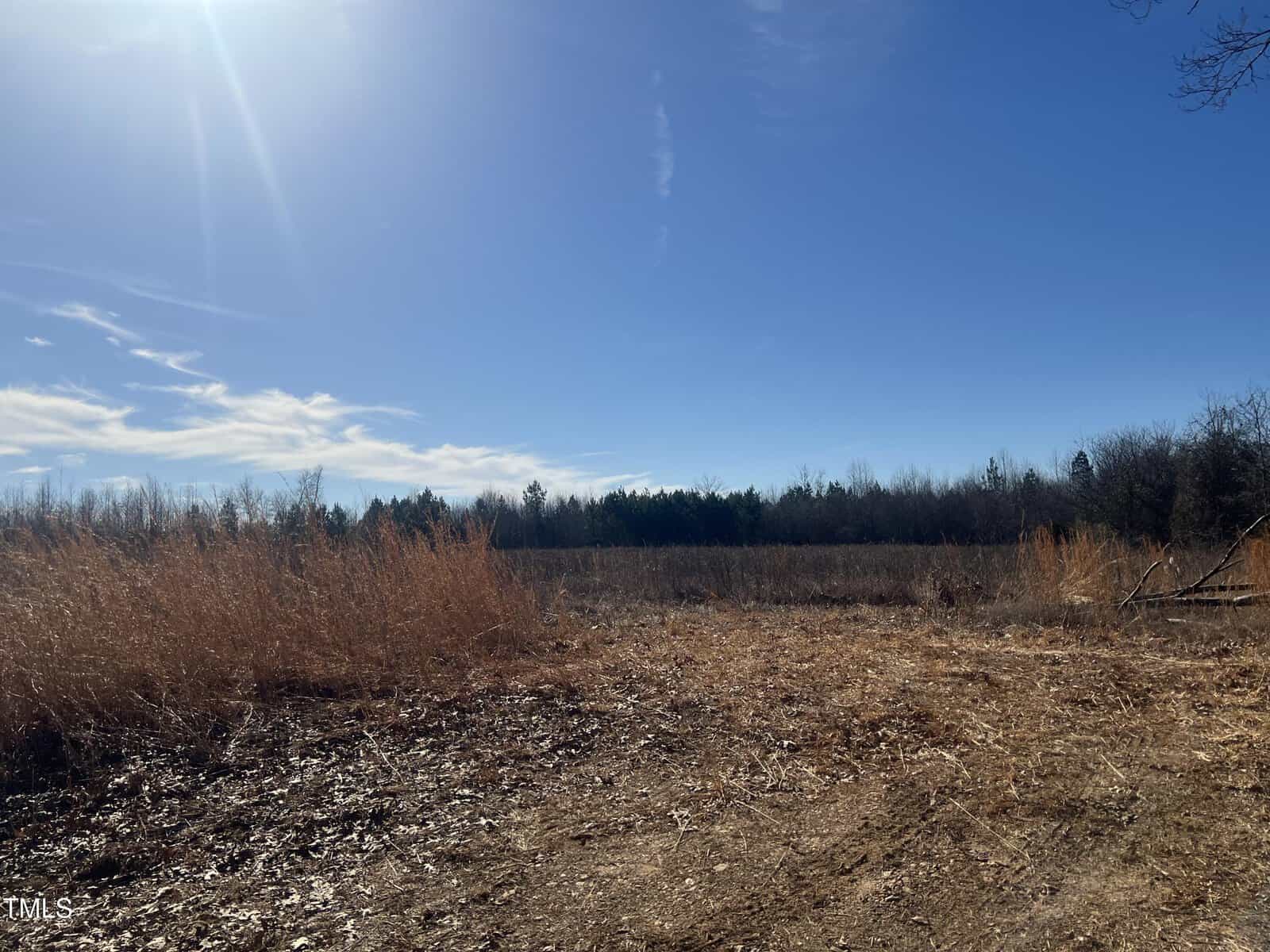 A vast, open field under a blue sky with scattered clouds. The foreground features dry grass and bare soil, while the background includes a line of trees with sparse foliage. Sunlight casts a bright glare from the top left corner.