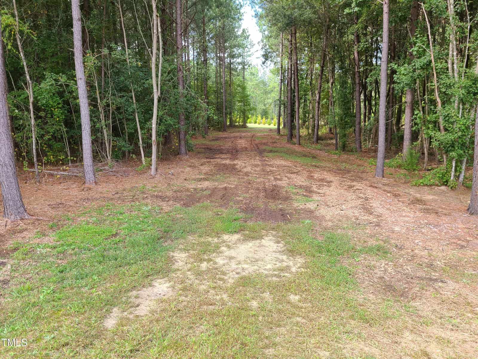 A dirt path meanders through the dense forest by 1009 Mount Pleasant Church Road, flanked by towering trees with lush green foliage. Sunlight filters through, casting dappled light on the patches of grass and leaves along the way. The woodland stretches endlessly into the distance.