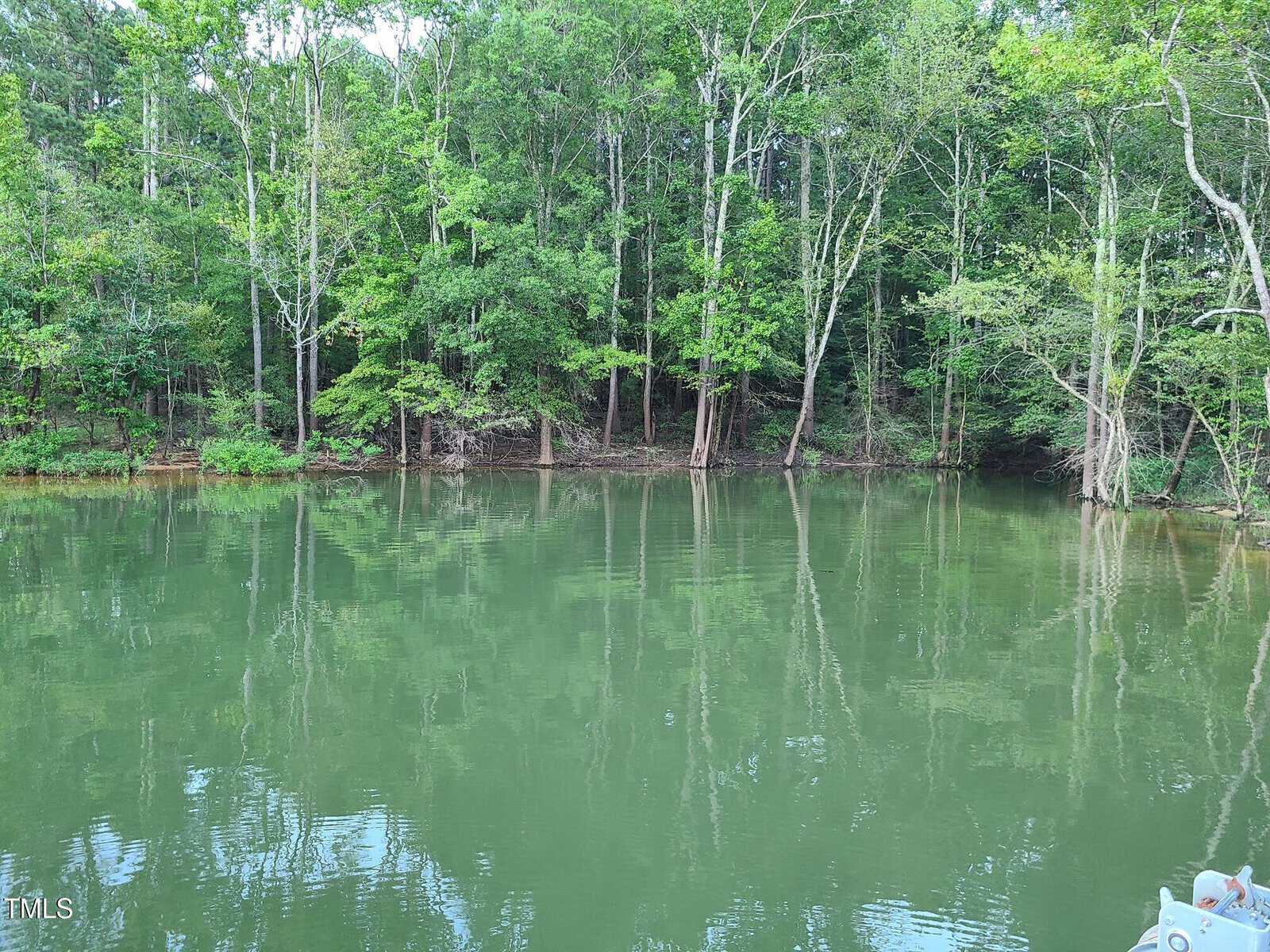 A calm lake with a forest of tall green trees lining the opposite shore. The trees reflect on the still water, creating a mirror-like effect. Some branches extend out over the water. The sky is not visible, but the light suggests a clear day.