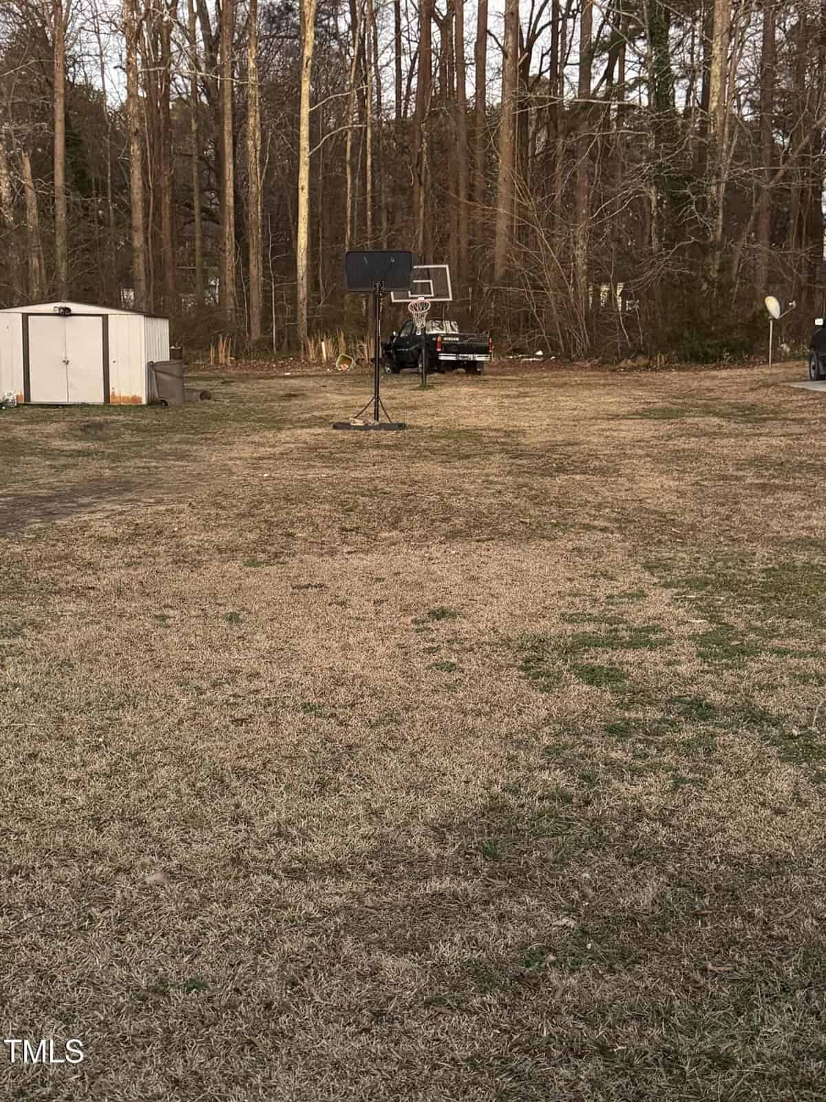 The backyard scene at 0 Julia Avenue showcases a dry grass lawn with a basketball hoop on the left. In the distance, there's a white shed and a vehicle near the tree line. Tall, leafless trees tower in the background, capturing the serene essence of Henderson's landscape.