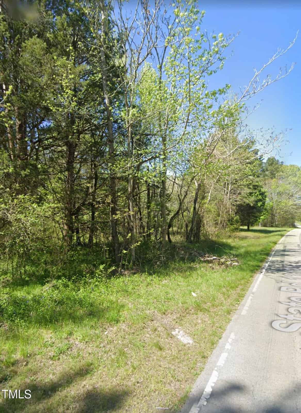 A narrow road curves alongside a dense wooded area with various trees and green underbrush. The sky is clear and blue, suggesting a sunny day. The road's edge is bordered by a small patch of grass and subtle shadows are cast by the trees.