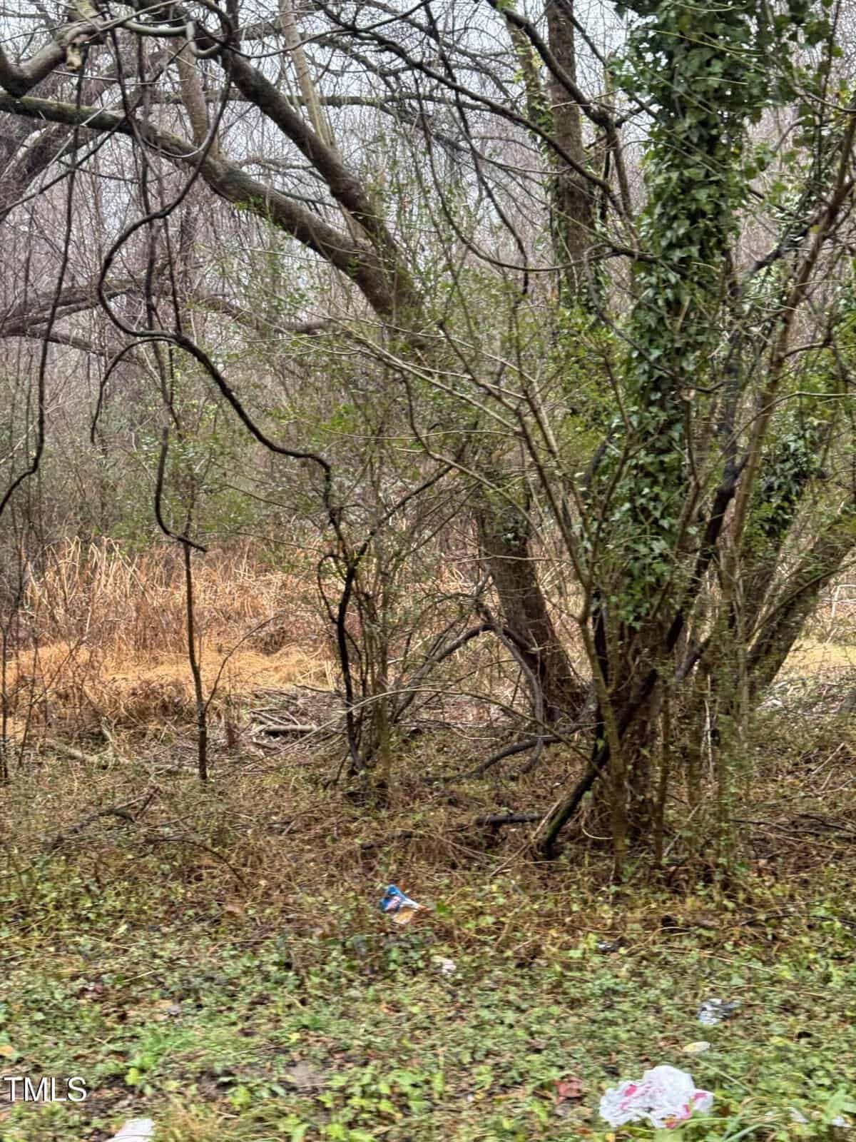 A wooded area with bare trees and some green ivy. The ground is covered with dry grass and patches of green vegetation. Some litter, including a plastic cup, is visible on the ground. Overcast sky is visible in the background.