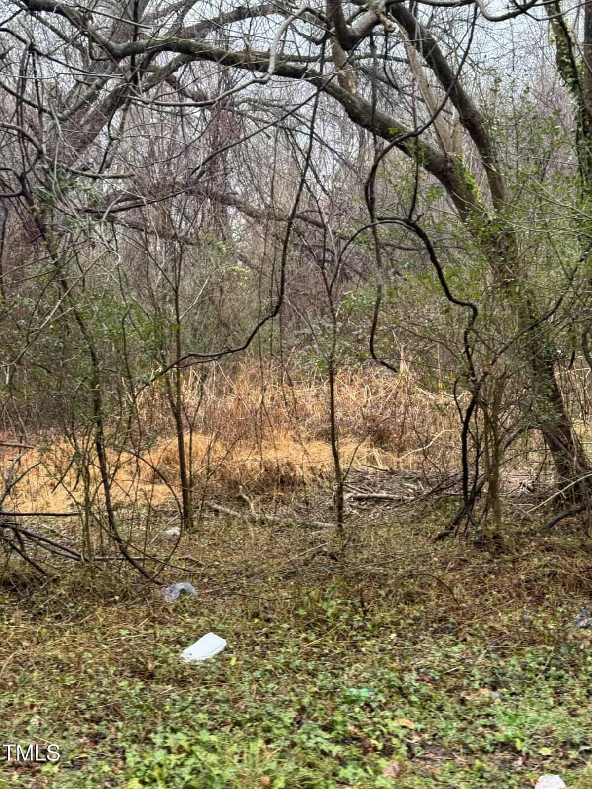 A forest scene with bare, twisted tree branches and sparse greenery. The ground is covered with brown grass and scattered green vegetation. A white plastic bottle is visible on the ground in the foreground.
