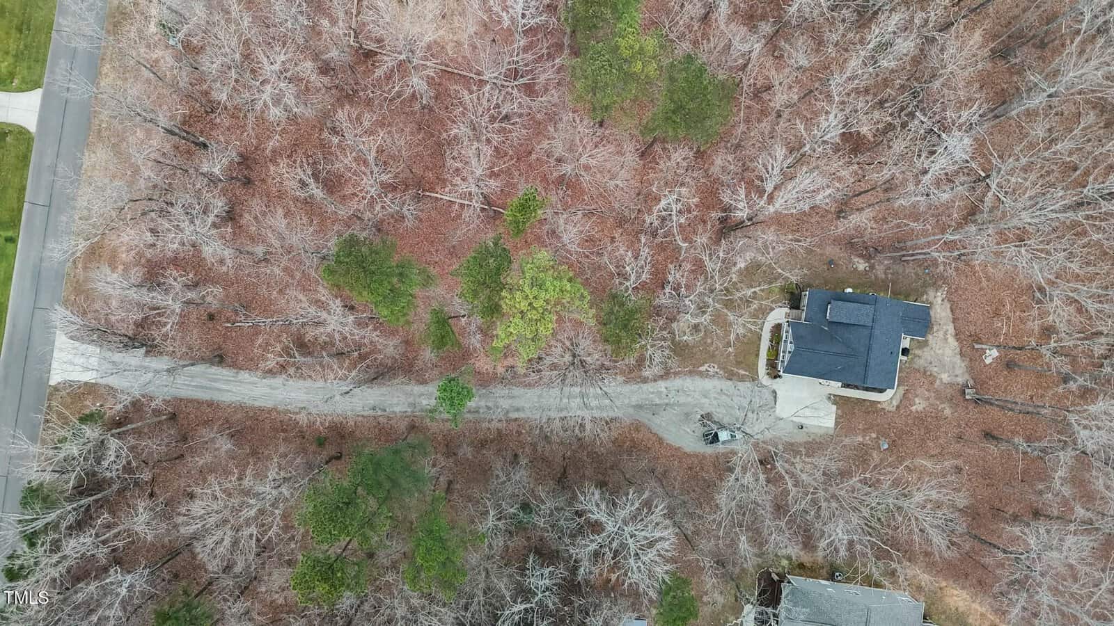Aerial view of a residential area surrounded by leafless trees. A narrow paved road leads to a house with a dark roof in the center right. Another house is partially visible at the bottom. Sparse green trees are scattered among the brown foliage.