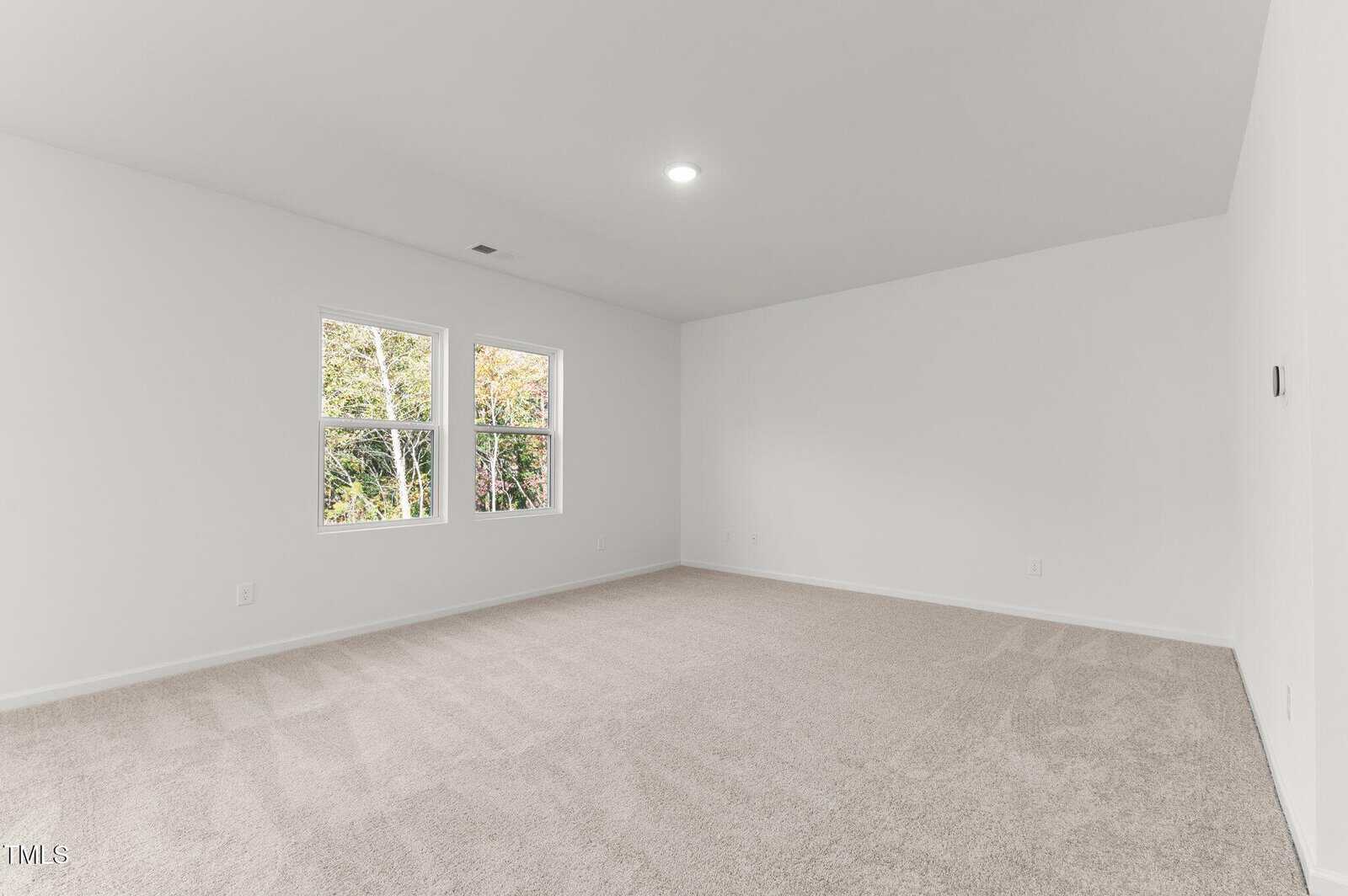 A large, empty room with white walls, beige carpet, two windows showing trees outside, and a single ceiling light.