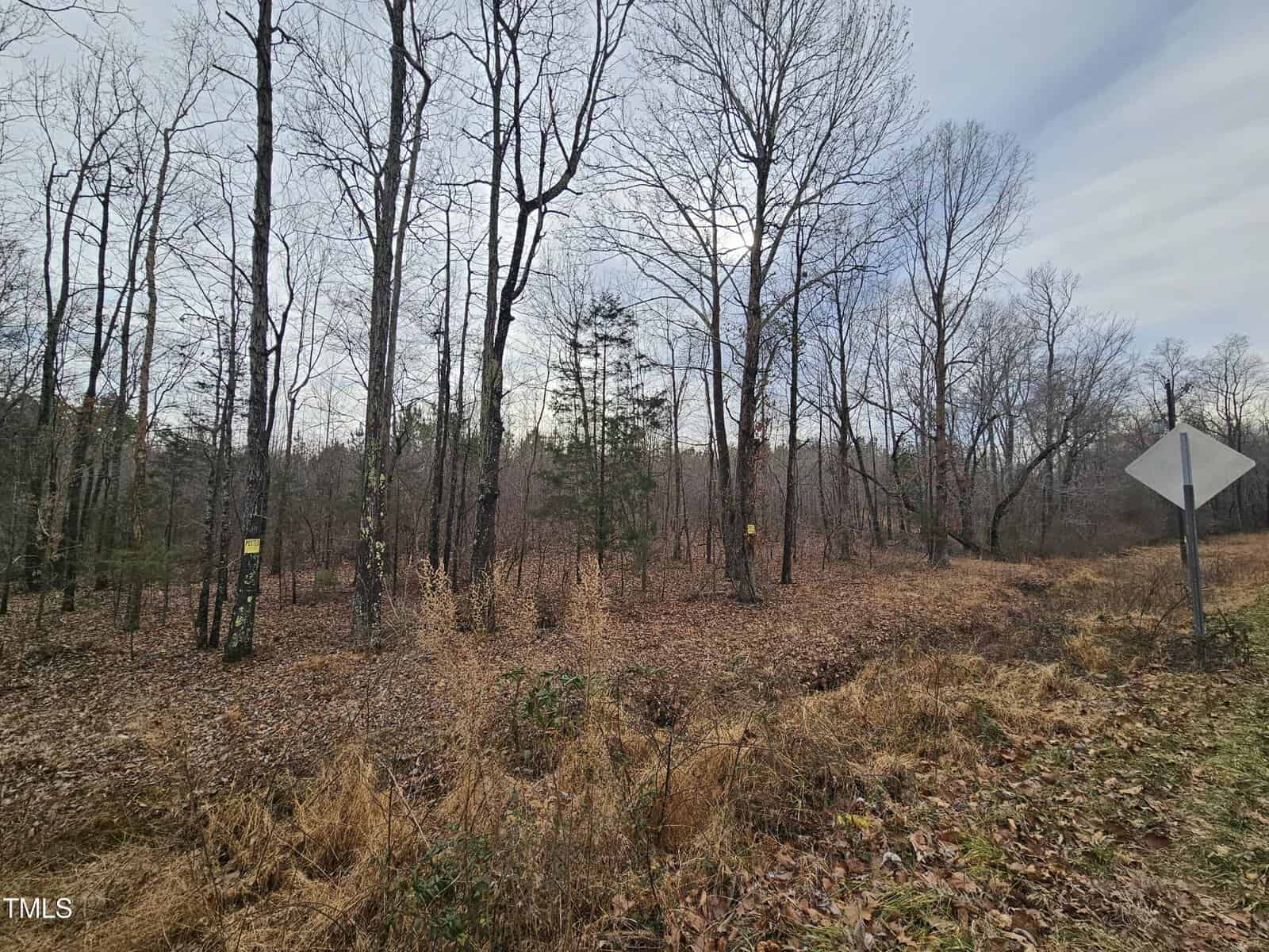 A wooded area with leafless trees and sparse undergrowth is shown. There are several small signs attached to the trees. The sky is overcast, and a road sign is visible to the right of the image near the edge of a dirt road.