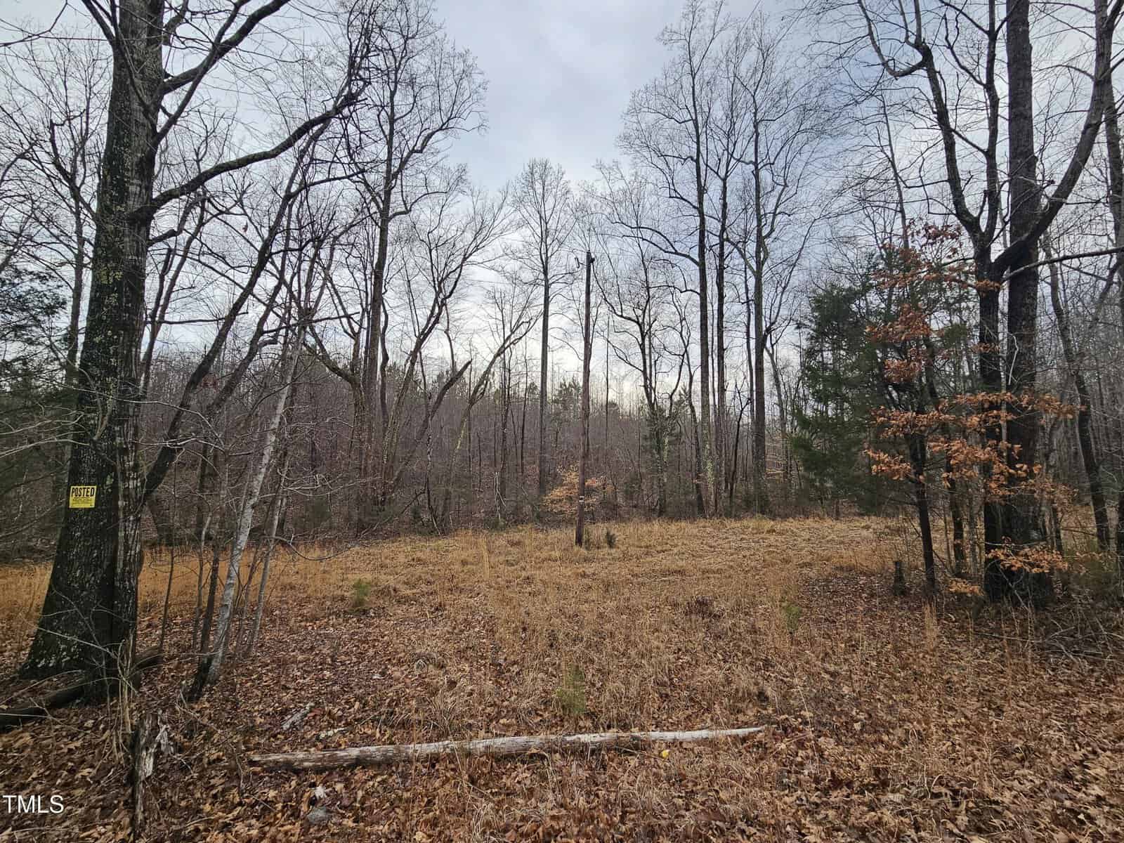 A forest clearing in winter, featuring dry grass and leafless trees. A yellow "Posted" sign is attached to a tree on the left, indicating private property or restriction. The overcast sky is visible through the bare branches.