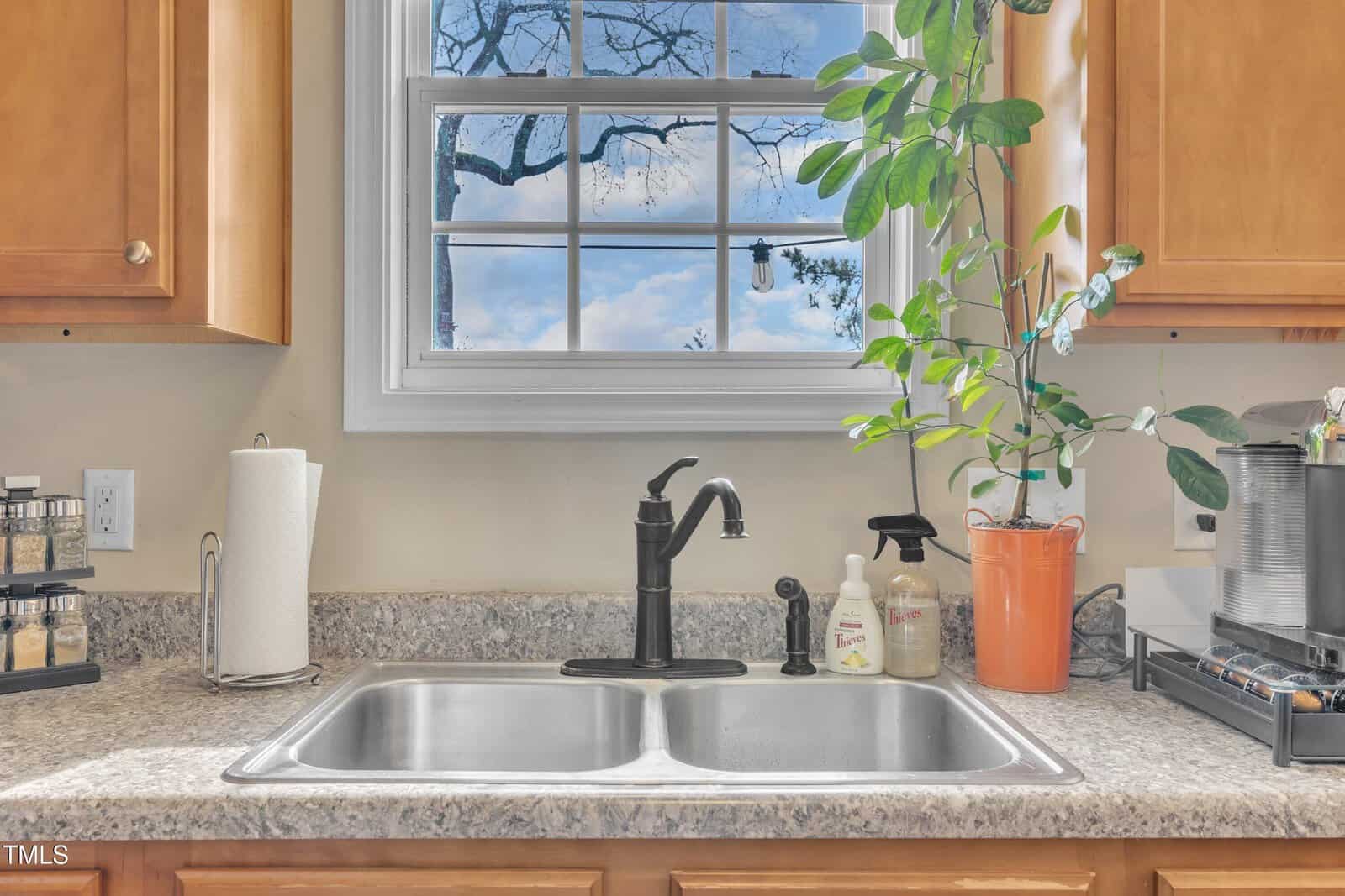 A kitchen sink with a granite countertop, featuring a double basin stainless steel sink and black faucet. A tall green plant in an orange pot is on the right, with soap dispensers beside it. A window above shows a blue sky and tree branches.
