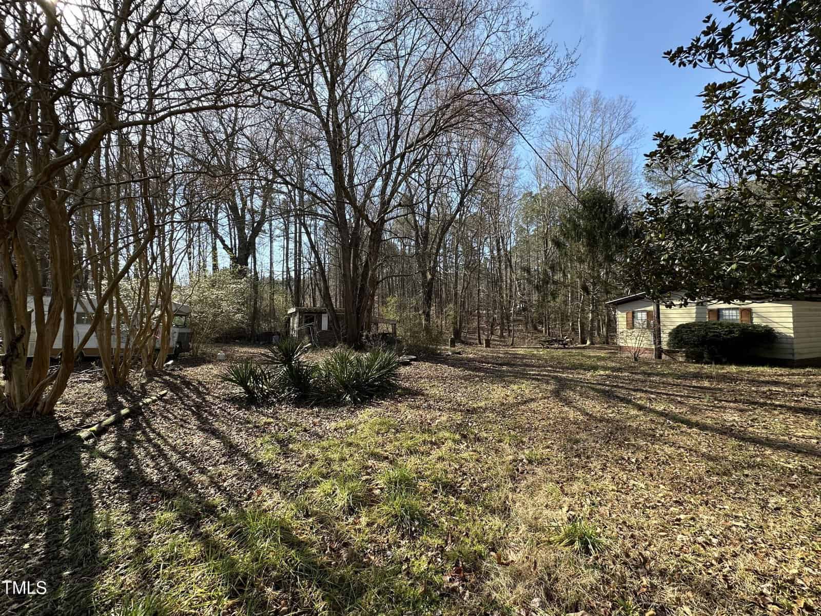 A yard with scattered trees and fallen leaves, small shrubs in the center, a yellow house on the right, and two small sheds in the background. The sky is clear and blue, shadows stretch across the ground.