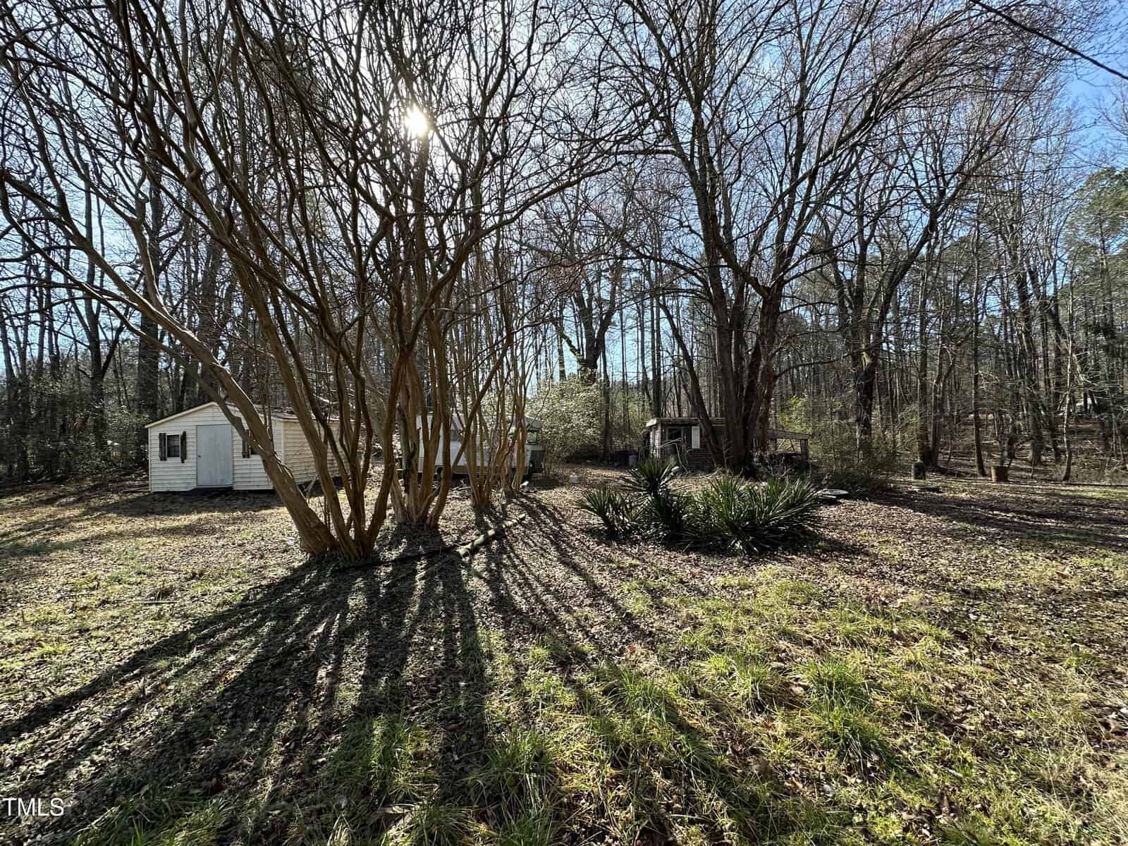 A small white mobile home and a shed sit among tall leafless trees casting long shadows on the ground, with sun visible through the branches in a wooded area.