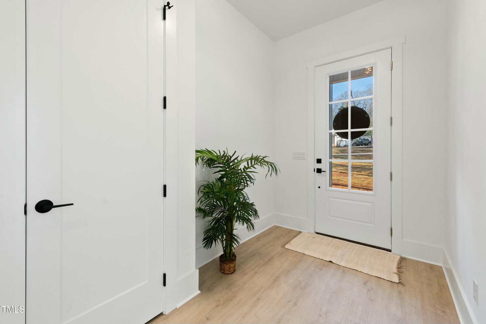 A small, bright entryway with white walls and door, light wood flooring, a glass-panel front door with a round black decoration, a potted plant, and a beige doormat.