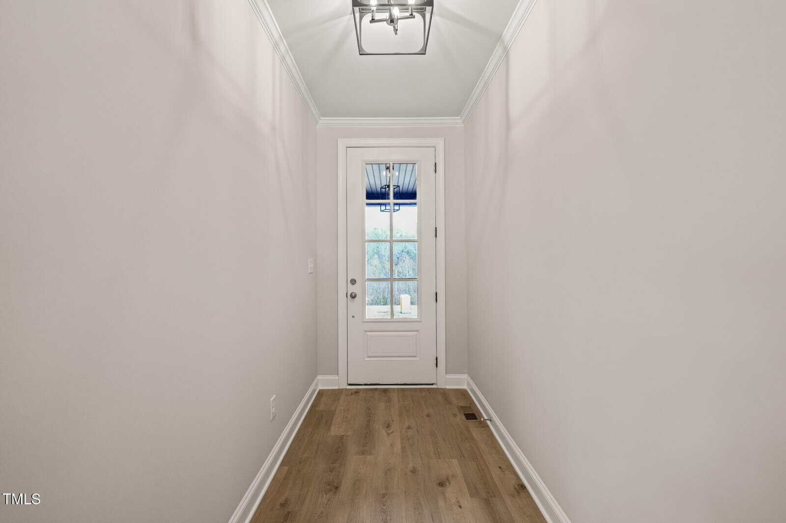 A narrow entryway with light-colored walls, wood flooring, and a white door with a glass window. A modern ceiling light fixture hangs above, and natural light comes through the door.