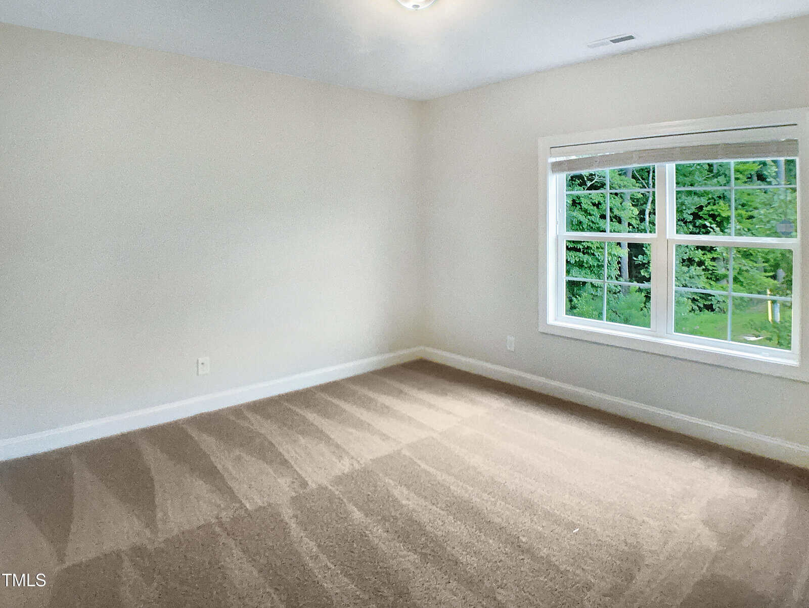 Empty room with beige carpet, white walls, a ceiling light fixture, and a large window showing greenery outside. The carpet has visible vacuum lines, and the room appears clean and well-lit.