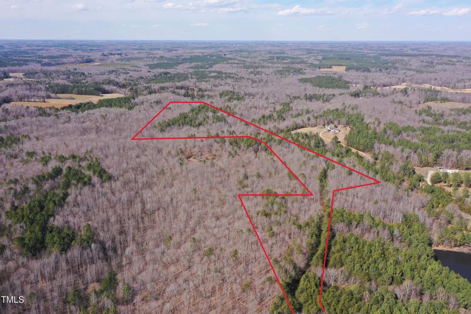 Aerial view of a vast forested landscape. The trees appear leafless, indicating winter or early spring. A red line outlines a specific irregularly-shaped area within the forest. Nearby, a small cluster of buildings is visible. Sky is partly cloudy.