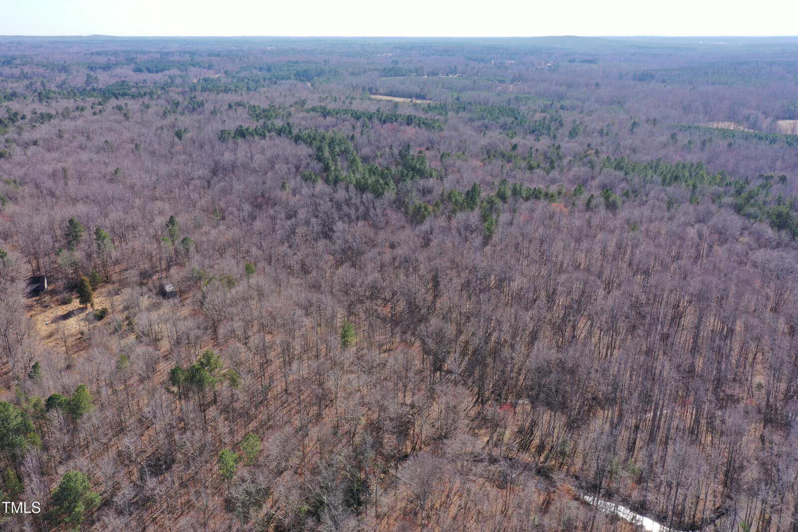 Aerial view of a vast, densely forested area with predominantly leafless trees, indicating a late fall or winter season. A small clearing with sparse vegetation is visible to the left. The horizon is distant and slightly hazy.