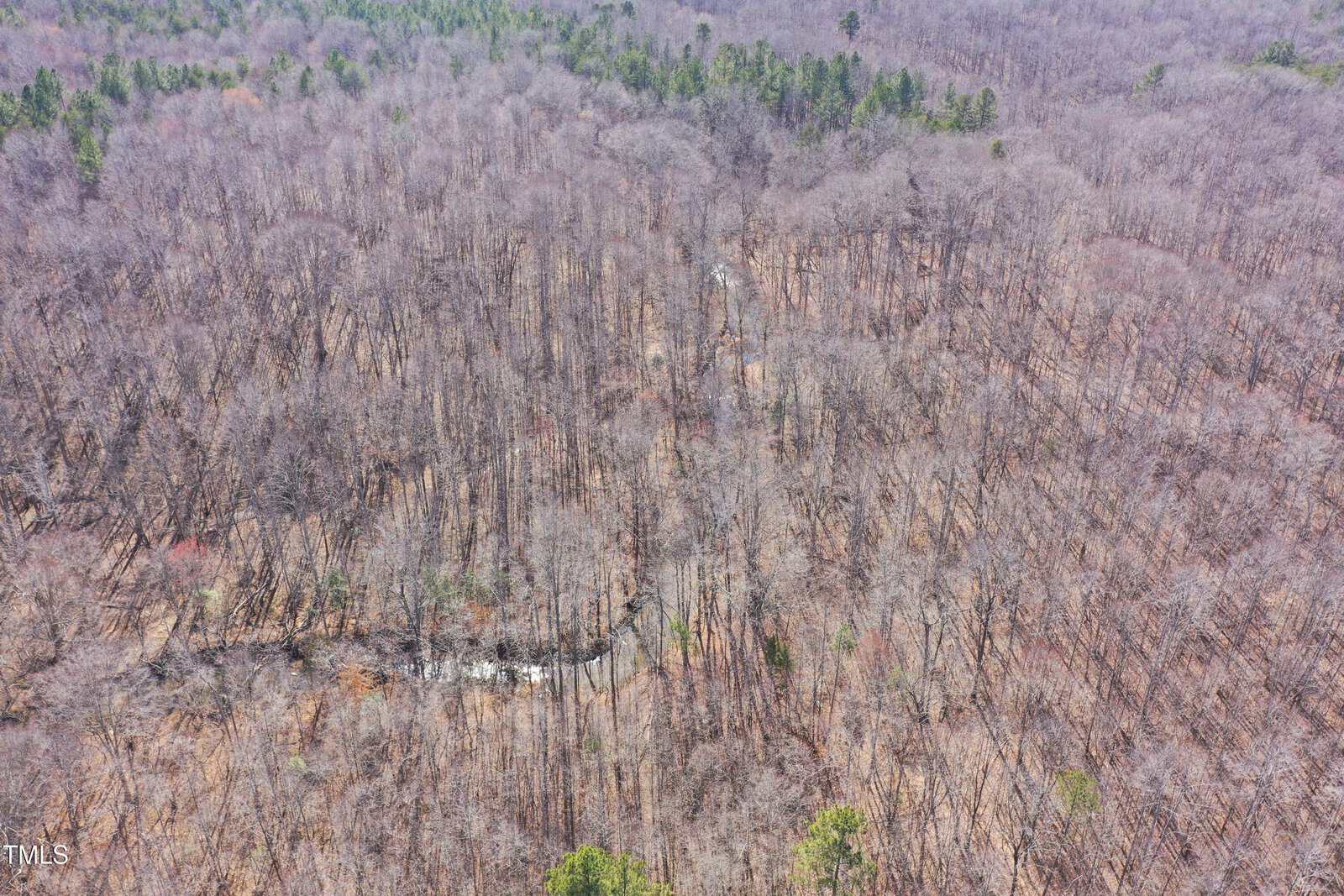 Aerial view of a dense winter forest near Little Mountain Creek Road, with bare trees and a narrow, winding stream threading through the landscape. The forest extends to the horizon, punctuated by occasional patches of evergreen trees, reminiscent of serene Oxford scenery.
