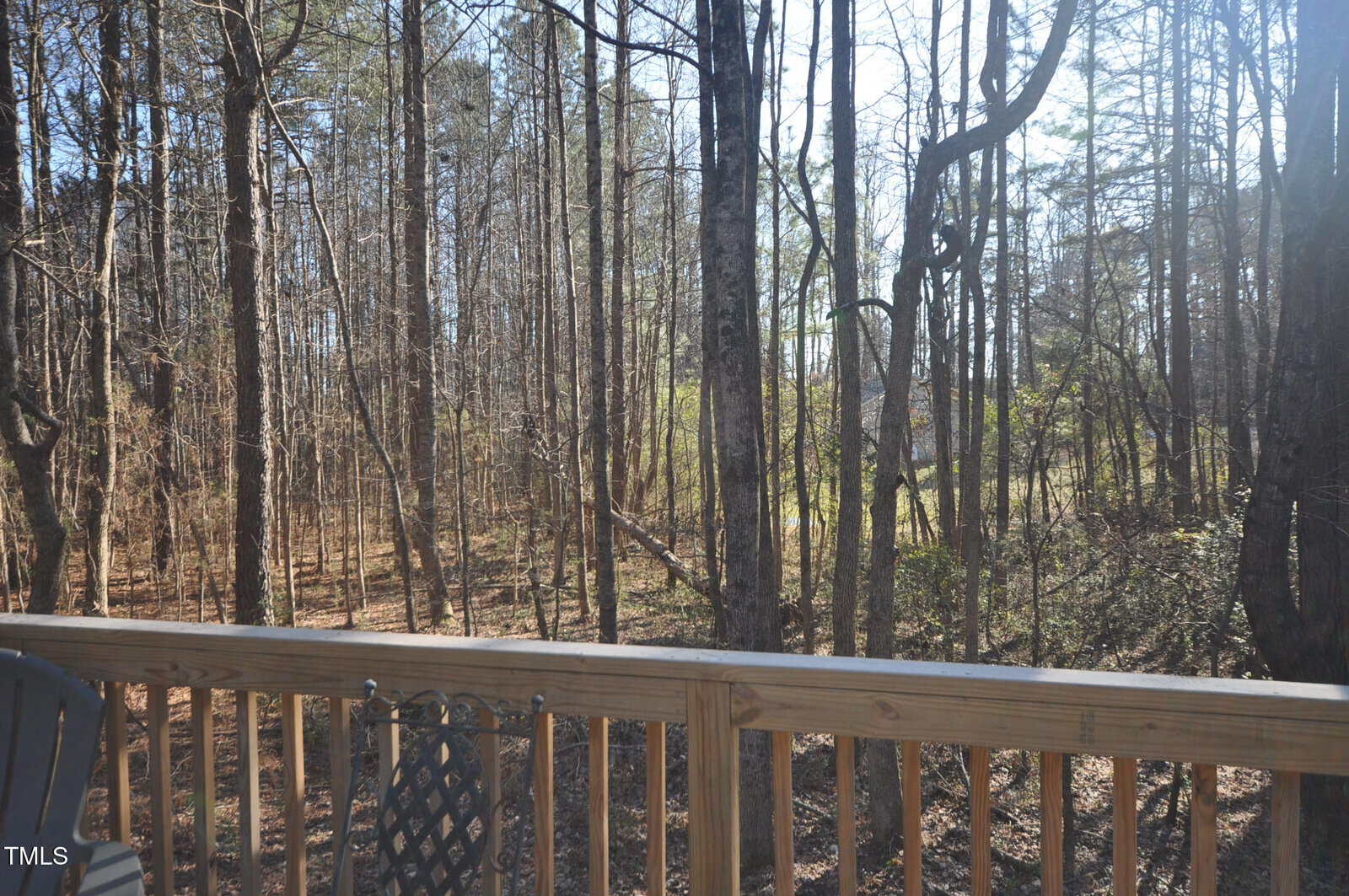 View of a forest area with tall, leafless trees under a clear sky. A wooden deck with part of a chair and table is visible in the foreground, overlooking the wooded scene. Sunlight filters through the branches, casting shadows on the ground.