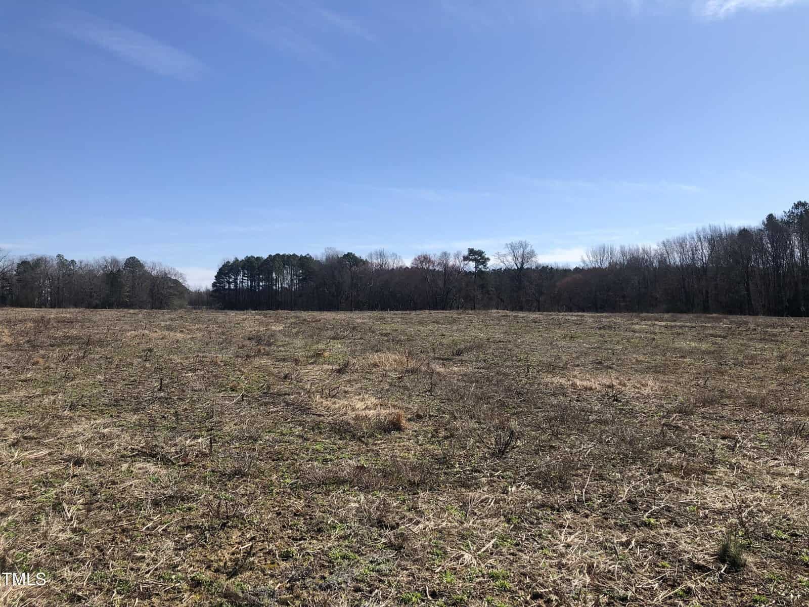 A wide, open field with patches of dry grass under a clear blue sky. A line of trees separates the field from the horizon, and sparse vegetation is scattered across the ground.