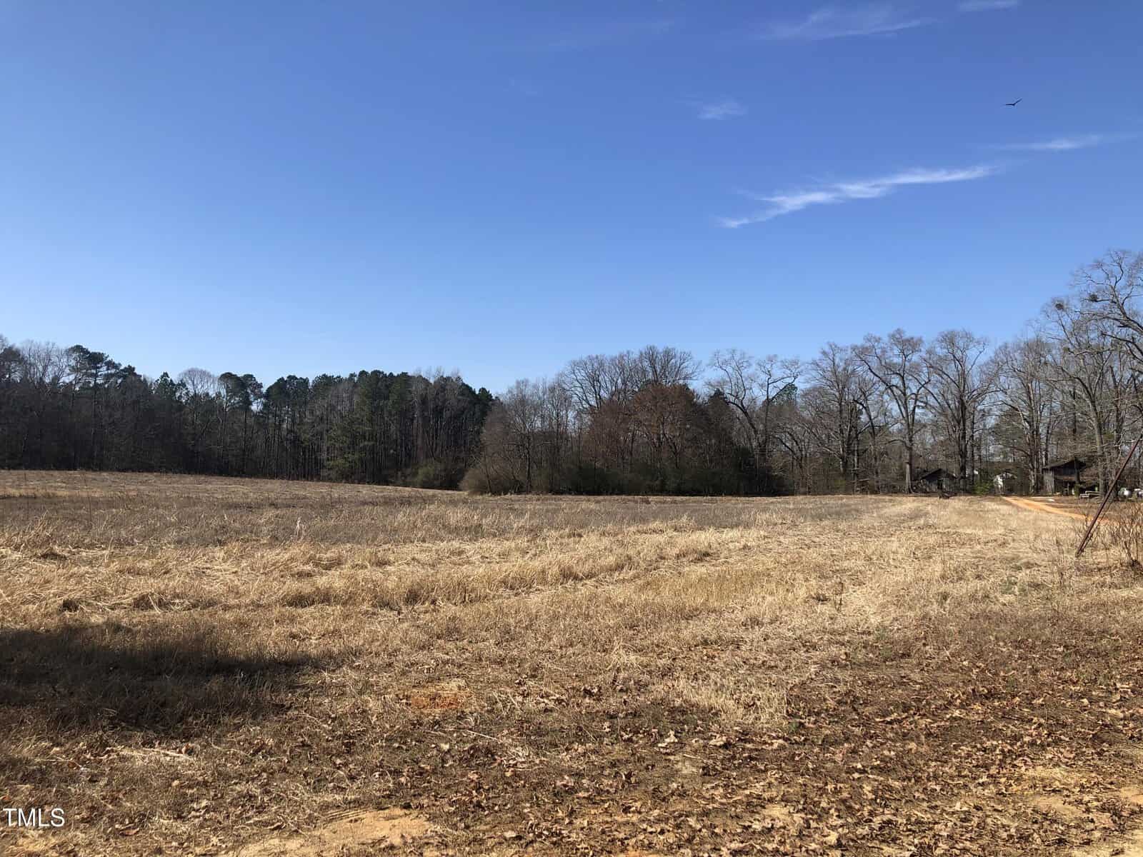 Open field with dry grass under a clear blue sky. Sparse trees line the horizon, and a few leafless trees are visible. A bird can be seen flying in the sky. Dirt path is visible in the foreground.