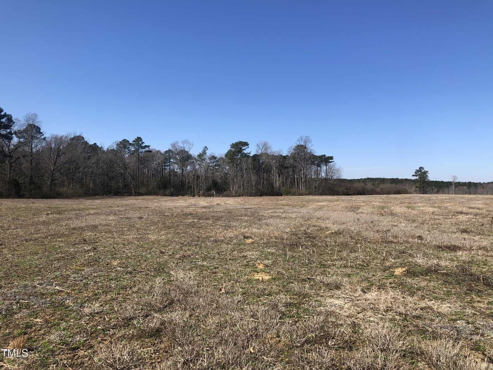 A vast open field with dry grass and patches of bare soil stretches to the horizon. A line of tall trees marks the boundary between the field and a clear blue sky above.