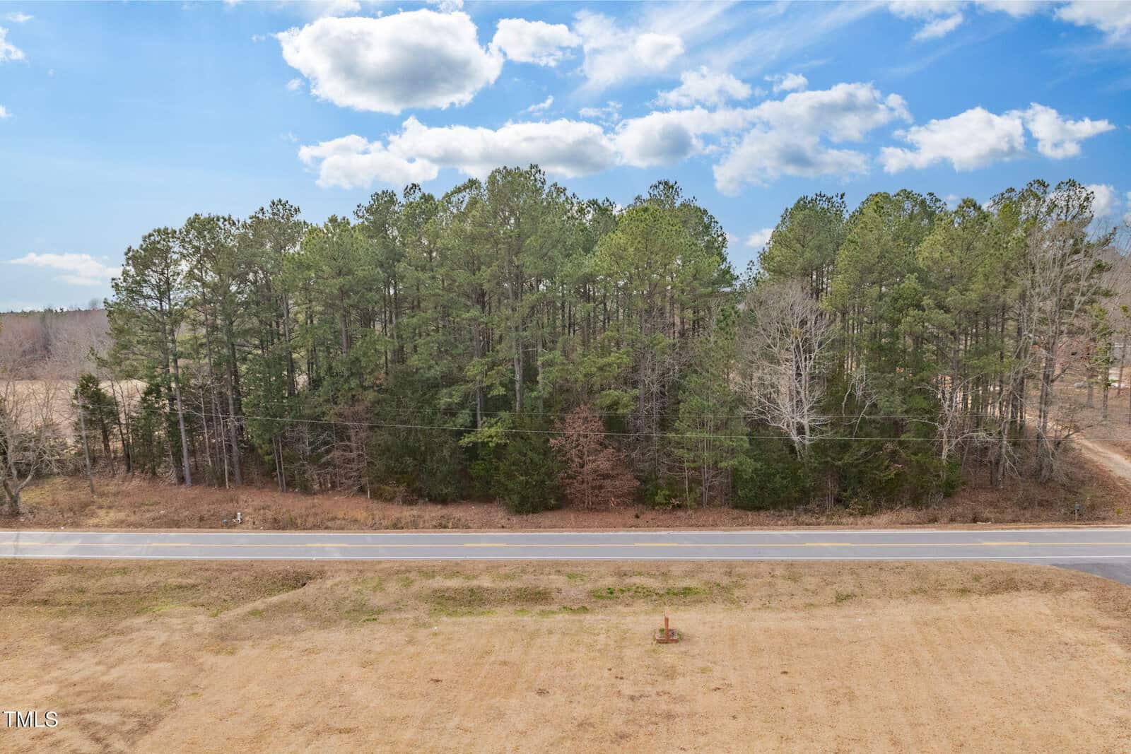 An aerial view of a road in front of a dense cluster of tall, green pine trees under a partly cloudy sky. The foreground shows dry, grassy land leading up to the road.