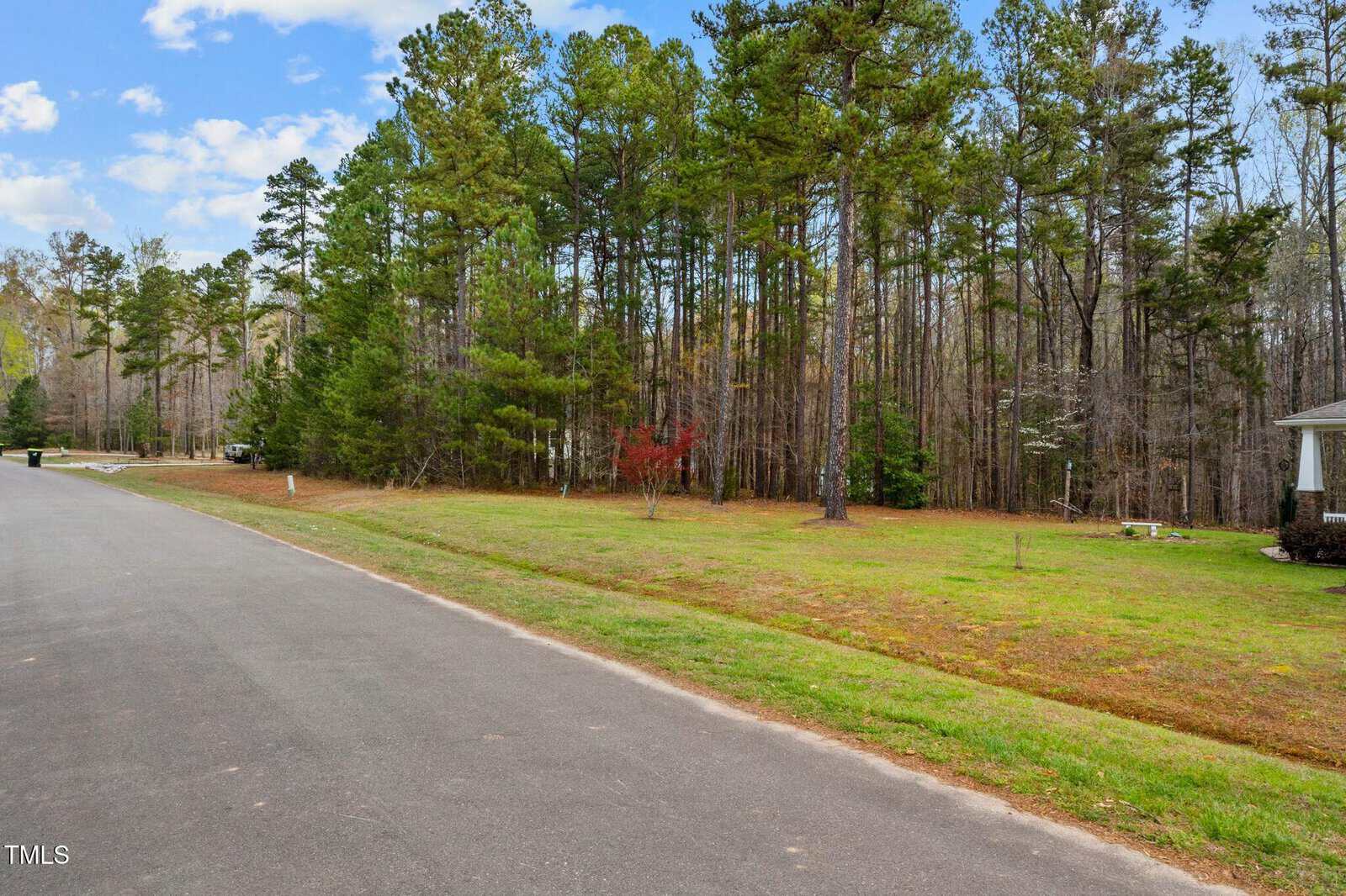 A paved road runs alongside a grassy area with scattered trees, while dense woods extend into the distance on the right under a partly cloudy sky. Just beyond, you catch a glimpse of a house at 753 Port Drive in Henderson.