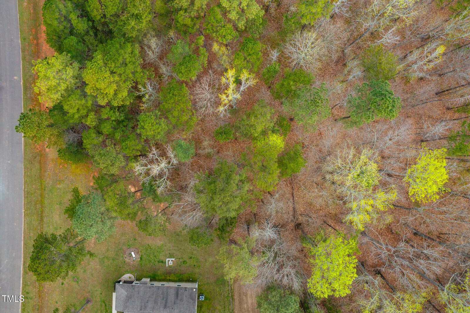 Aerial view of a house bordered by dense trees on the side and back. The top half of the image shows a road on the left and a mix of green and leafless trees. The bottom half includes part of the house roof and yard.