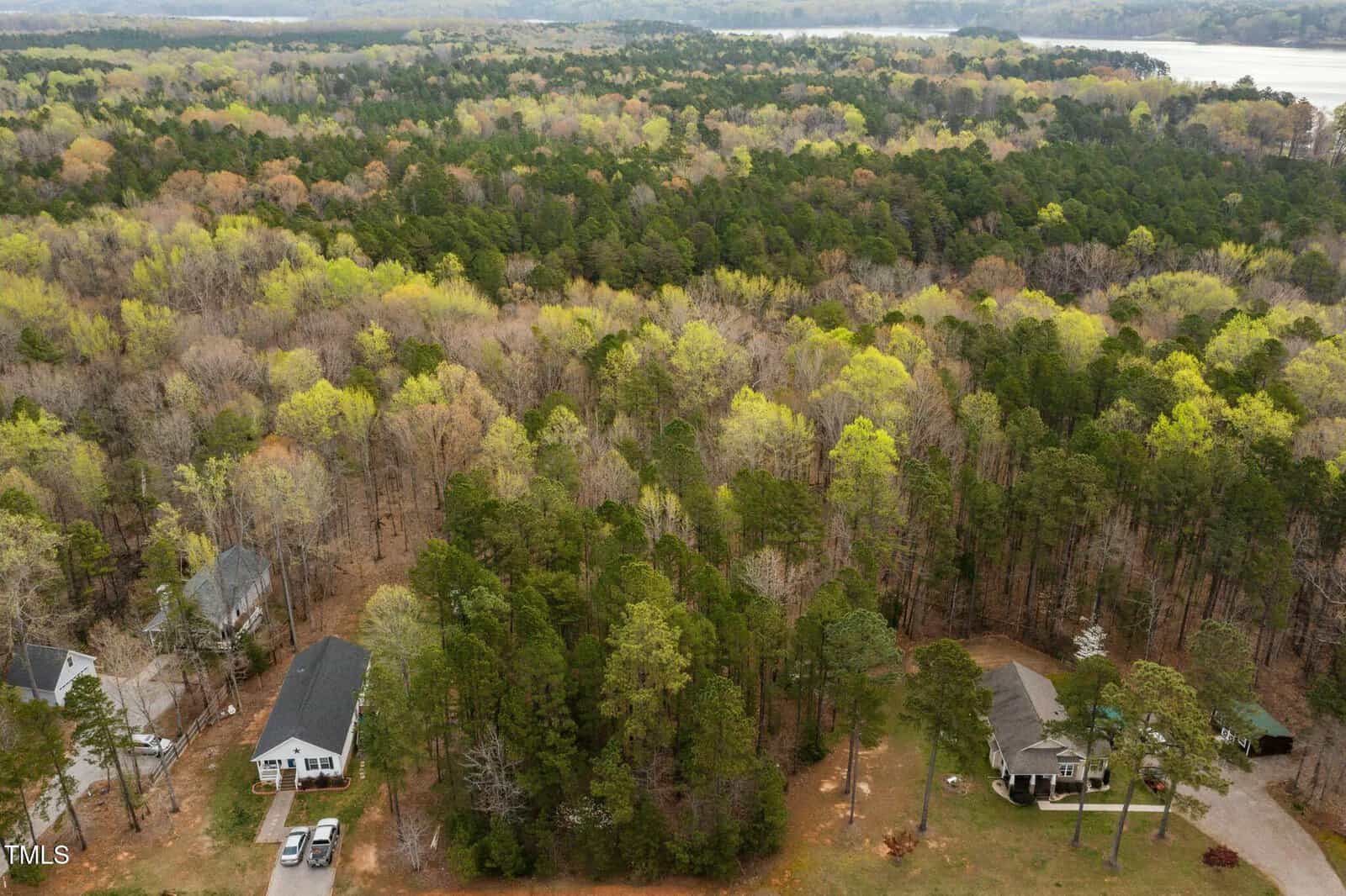 Aerial view of a forested area with dense trees, a few houses with visible rooftops near the bottom left and right. A river is seen in the distance. The landscape features a mix of deciduous and evergreen trees.