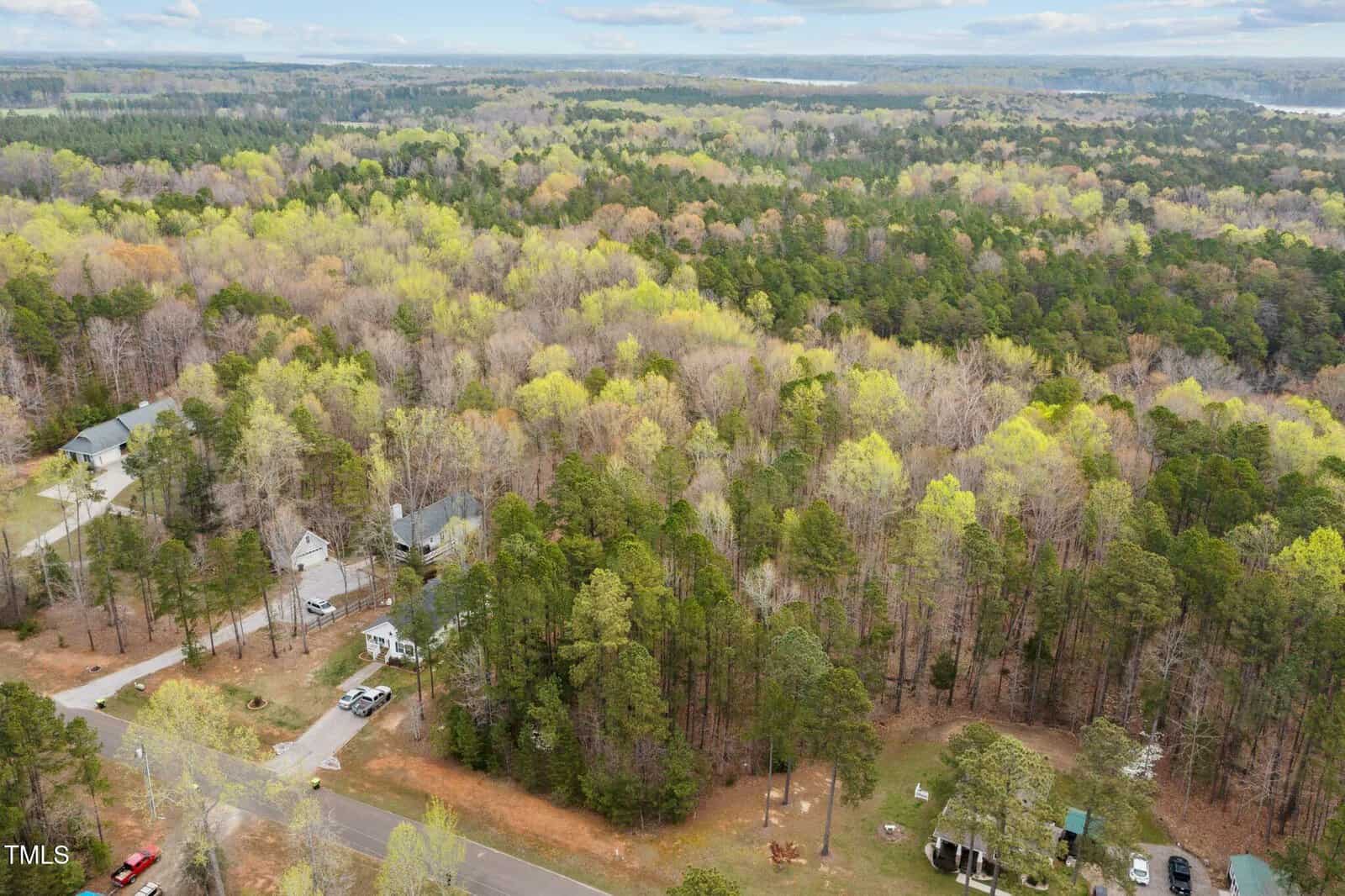 Aerial view of a wooded area with a few scattered houses among the trees. A road runs through the lower part of the image. The landscape is a mix of green and brown foliage, indicating a transition in seasons.