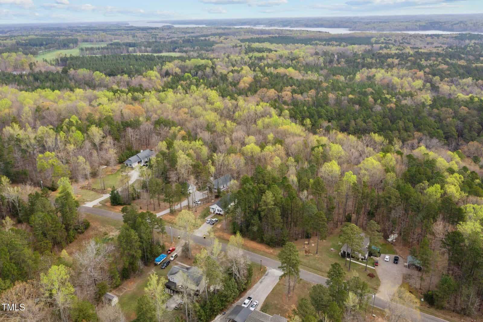 An aerial view of a residential area surrounded by dense, mixed-green foliage. Several houses and a few roads are visible among the trees. In the distance, a river or lake can be seen, with forests and fields extending to the horizon.