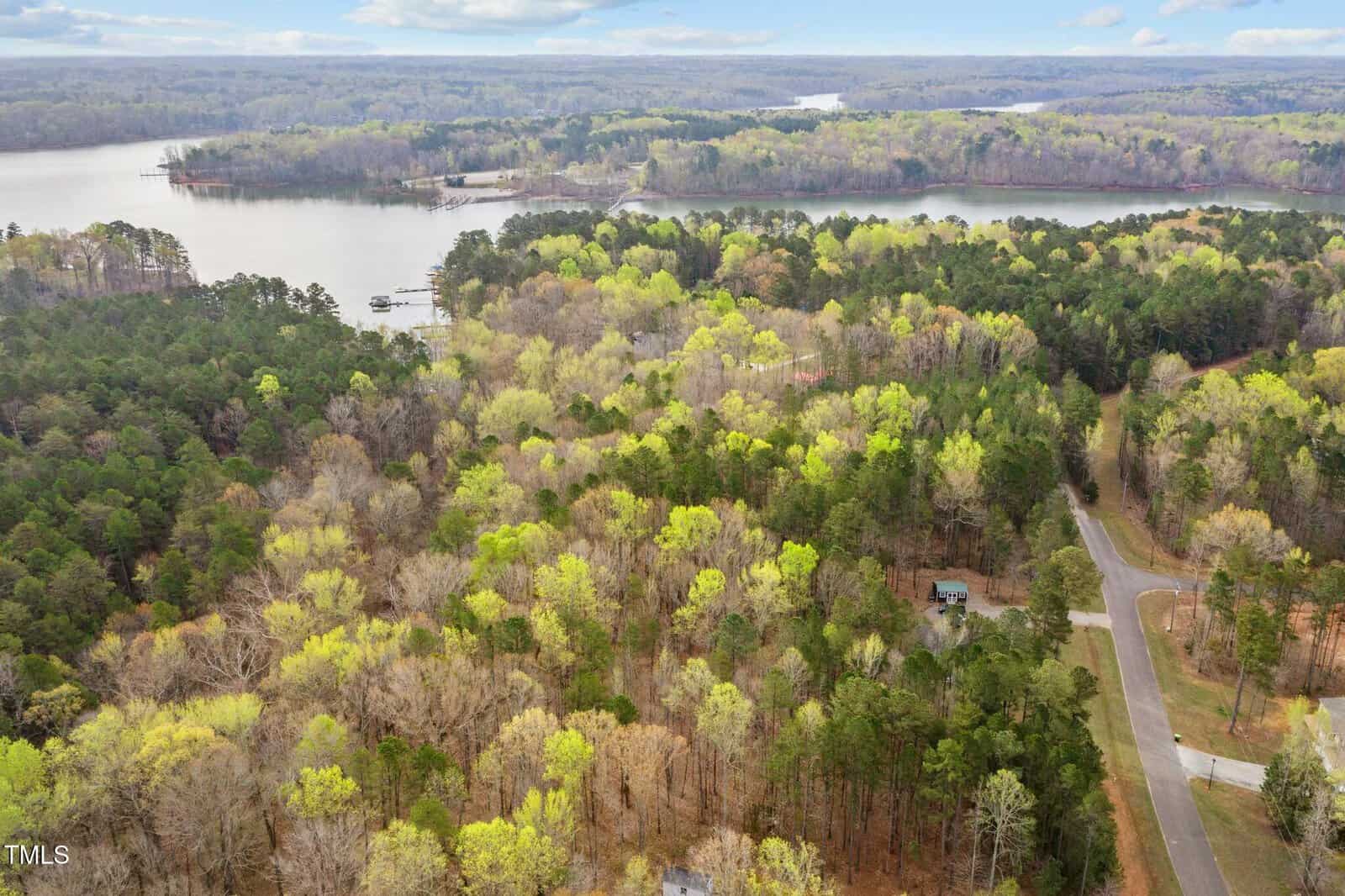 Aerial view of a forested landscape featuring a mix of deciduous and evergreen trees. A winding road is visible, with a few scattered houses. In the background, a large body of water, likely a lake, extends to the horizon. Sky is partly cloudy.