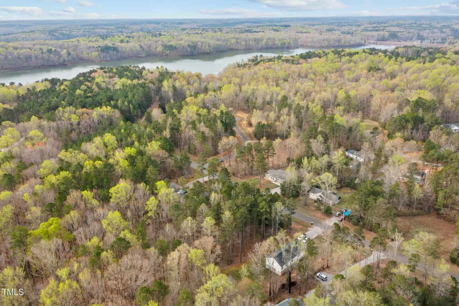 Aerial view of a rural area with scattered houses among dense forest. A river is visible in the background, surrounded by more wooded landscape. The scene is under a partly cloudy sky, giving a lush and expansive view of the greenery.